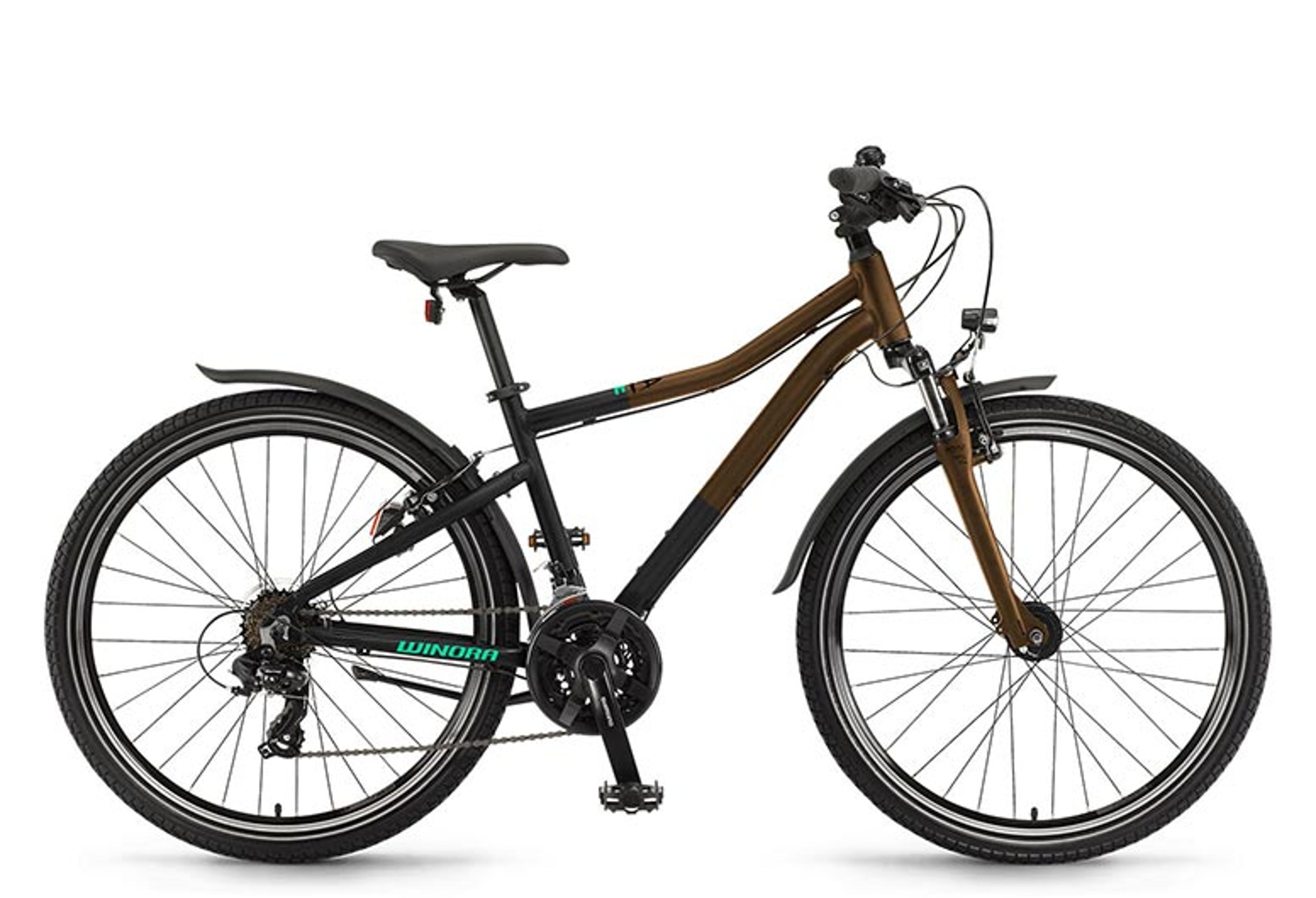 WINORA Rage 26 Jugendfahrrad 26 Zoll (schwarz) 1