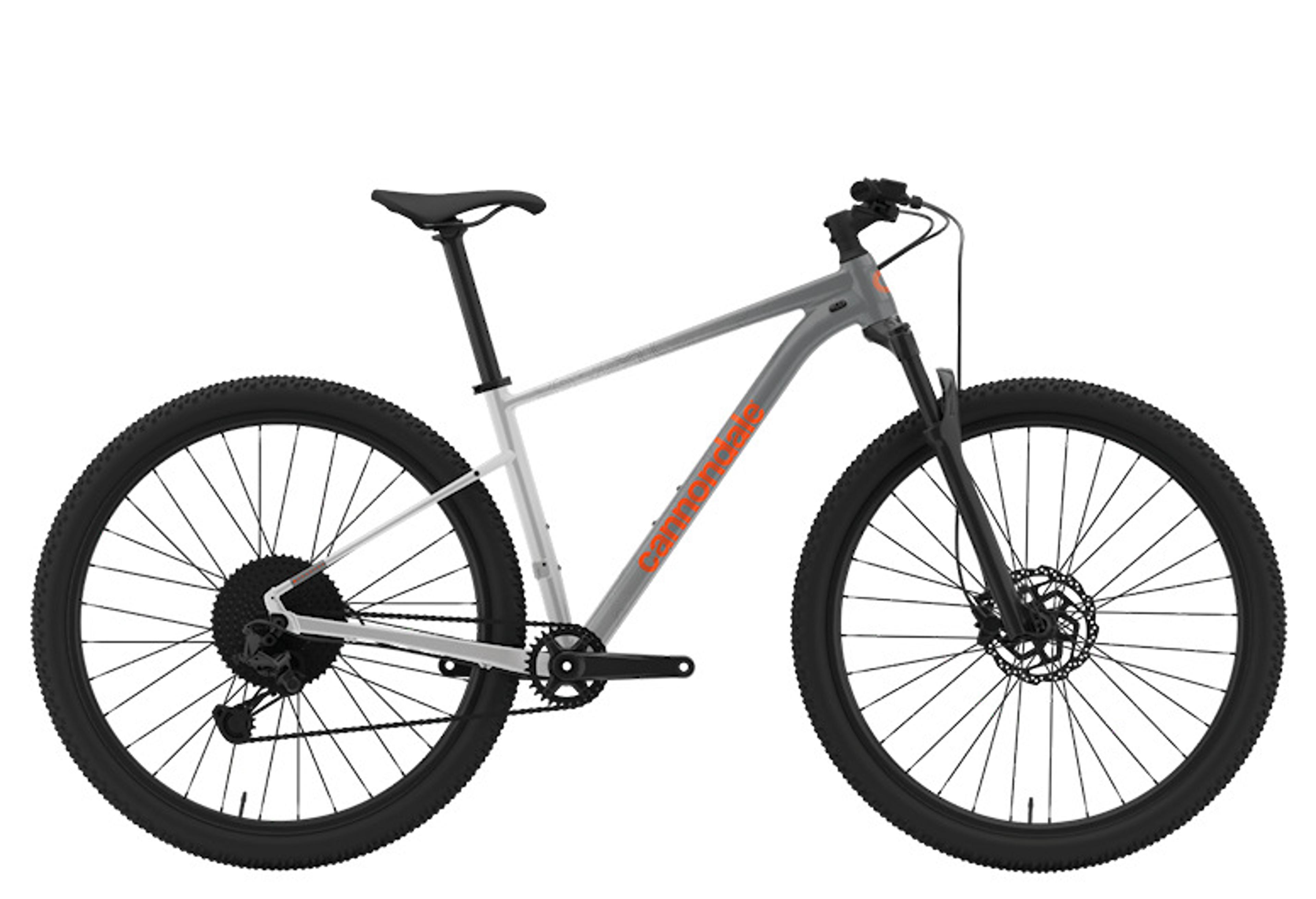Cannondale Trail SL 1 Hardtail MTB (grau) 1