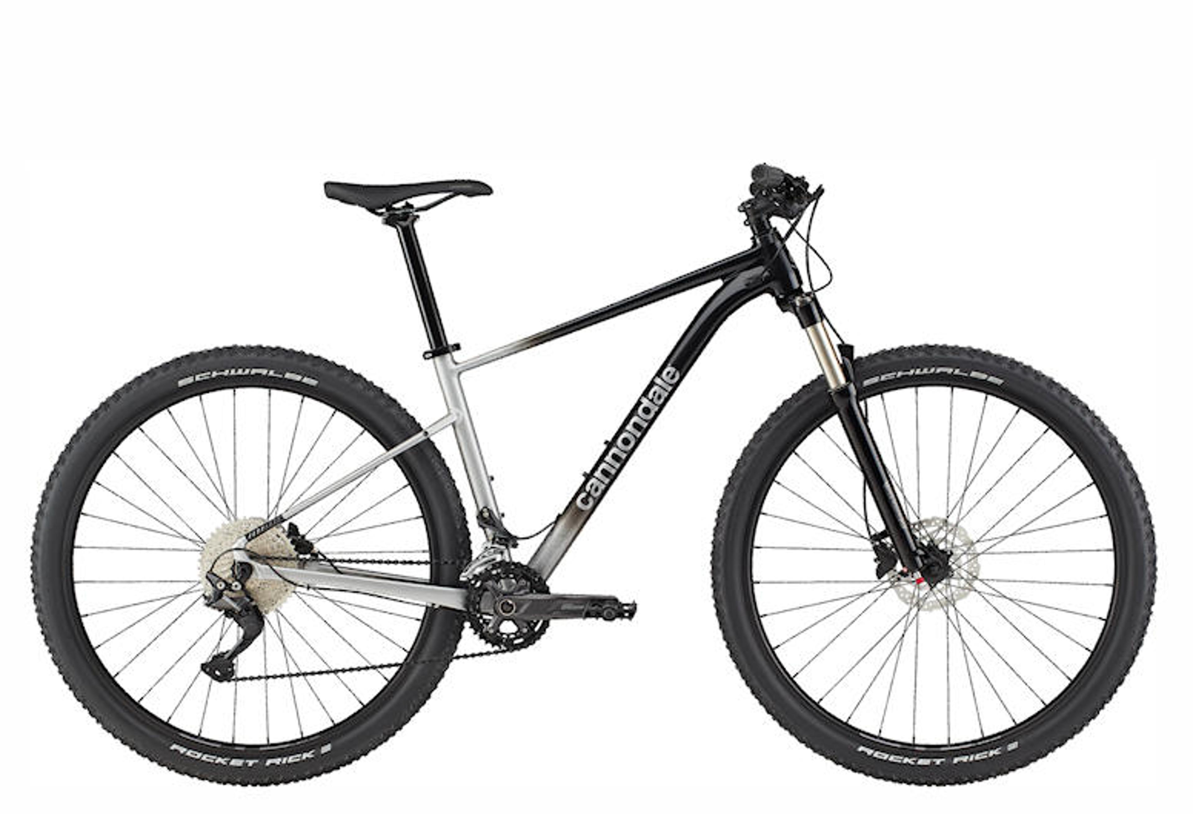Cannondale Trail SL 4 Hardtail MTB (grau) 1