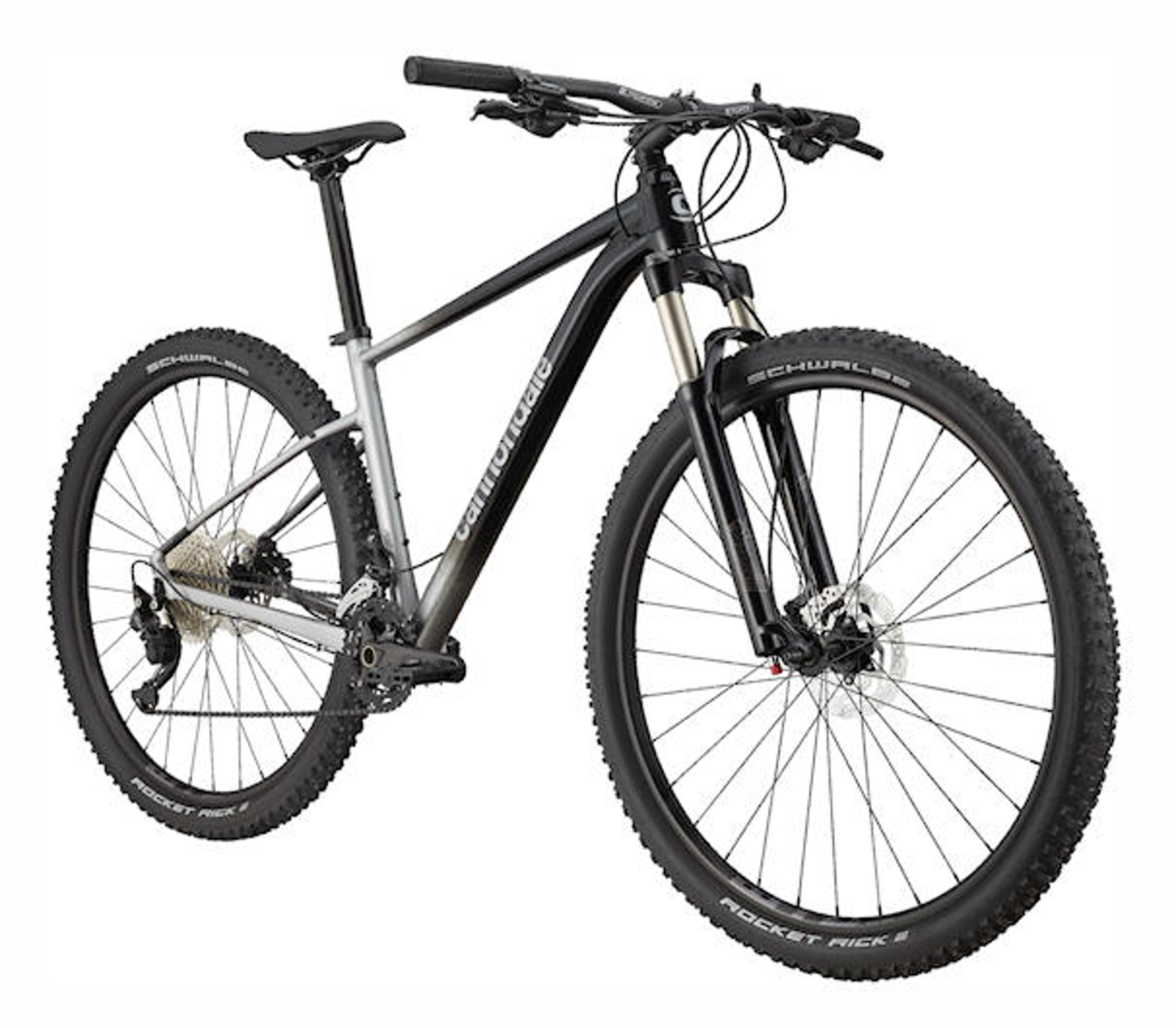 Cannondale Trail SL 4 Hardtail MTB (grau) 2