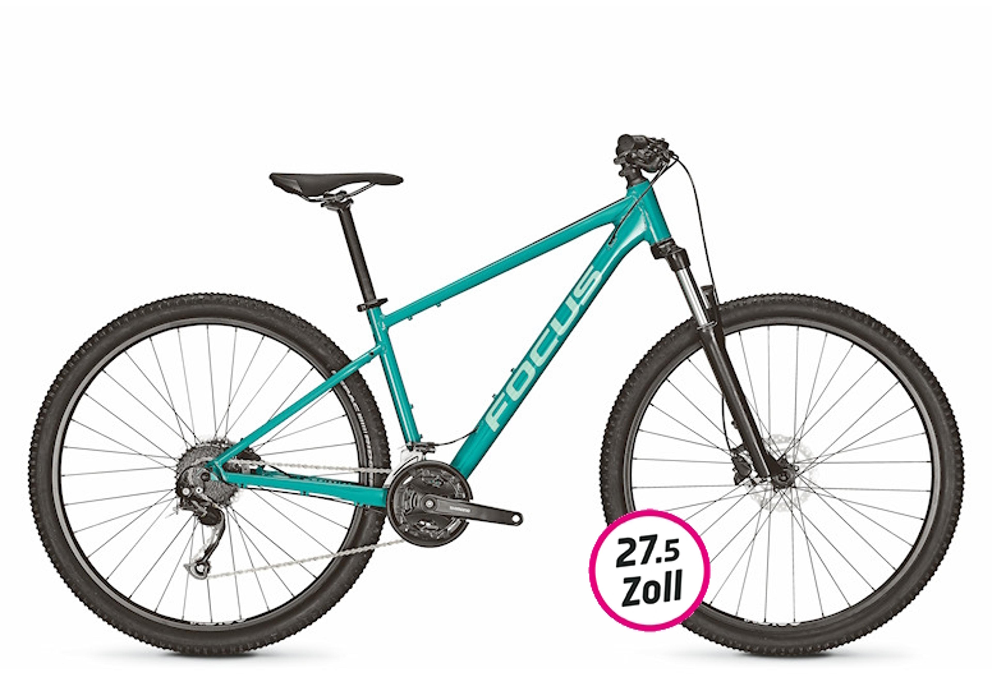 FOCUS Whistler 3.6 Hardtail MTB (grün) 1