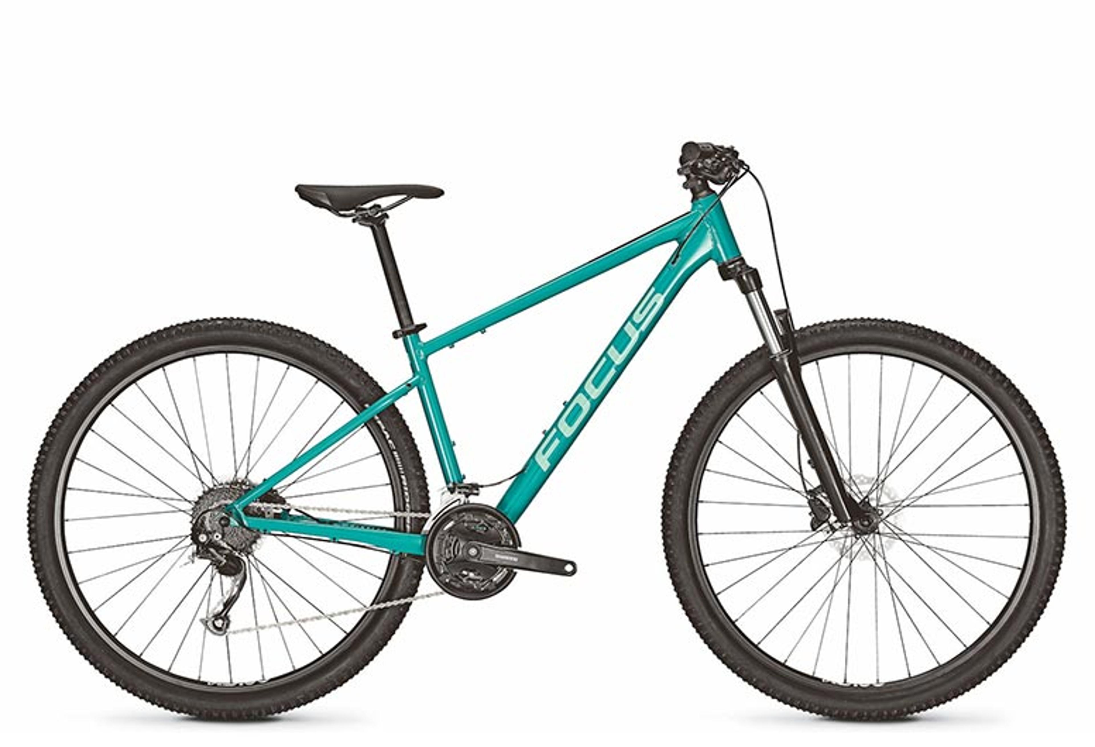 FOCUS Whistler 3.6 Hardtail MTB (grün) 1