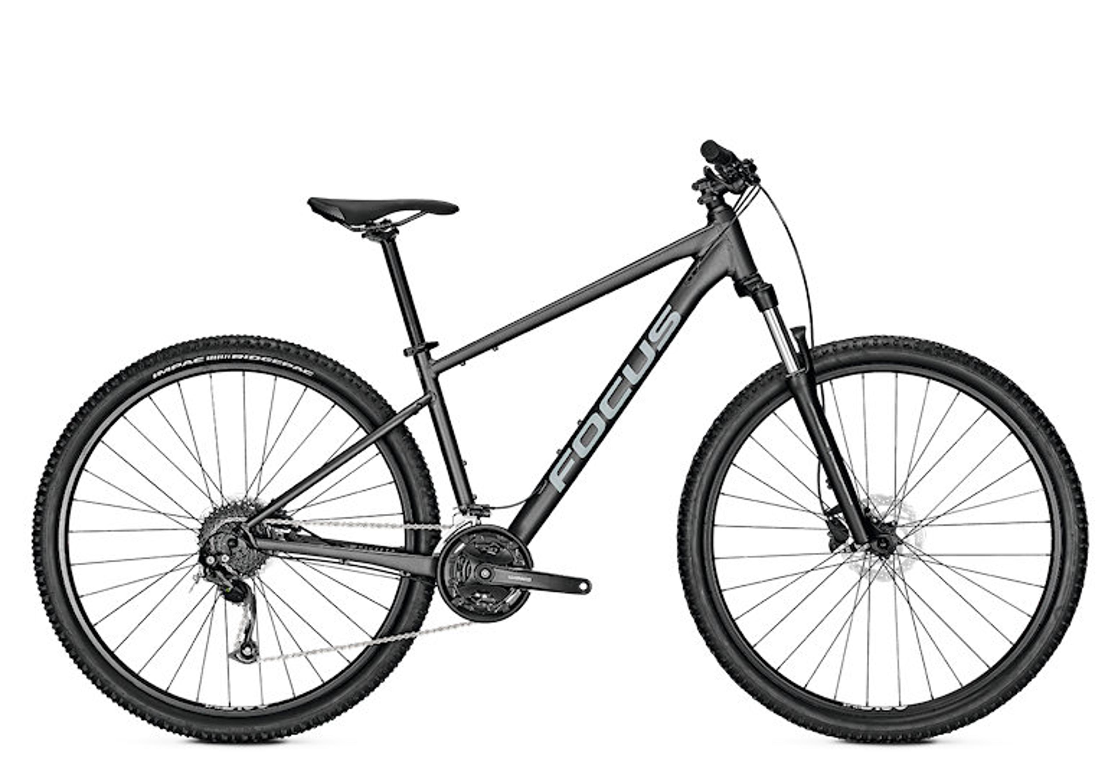 FOCUS Whistler 3.6 Hardtail MTB (grau) 1