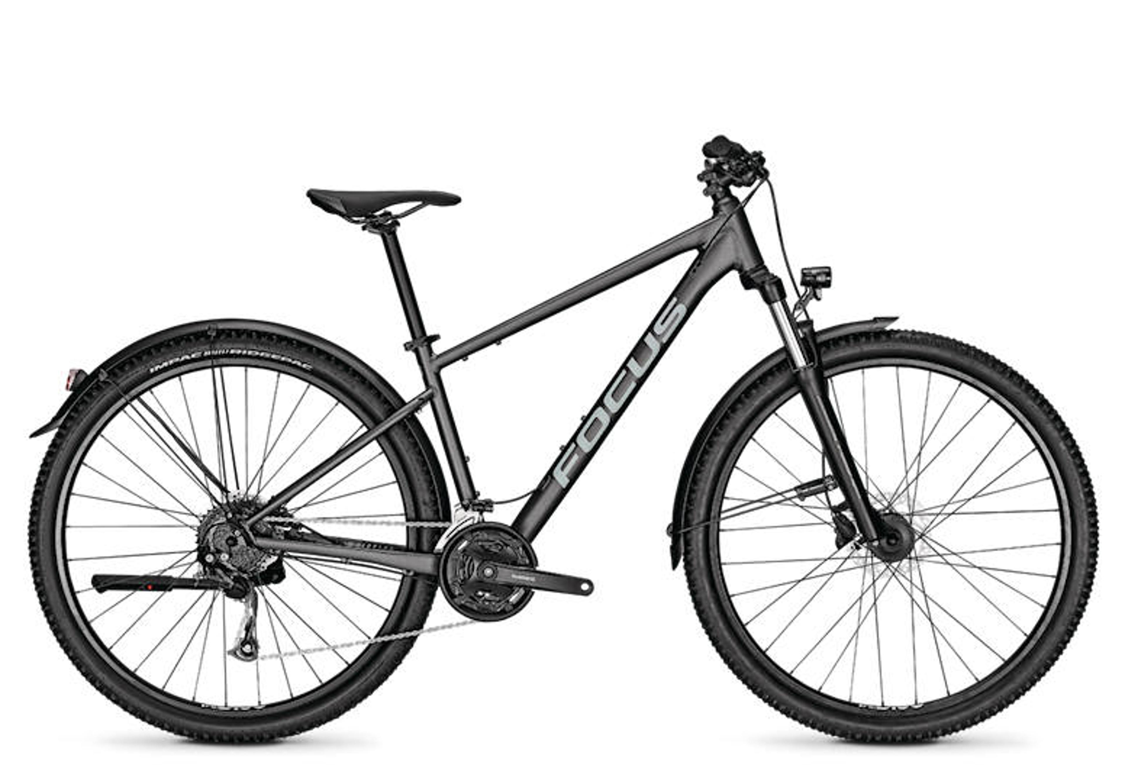 FOCUS Whistler 3.6 EQP Hardtail MTB (grau) 1