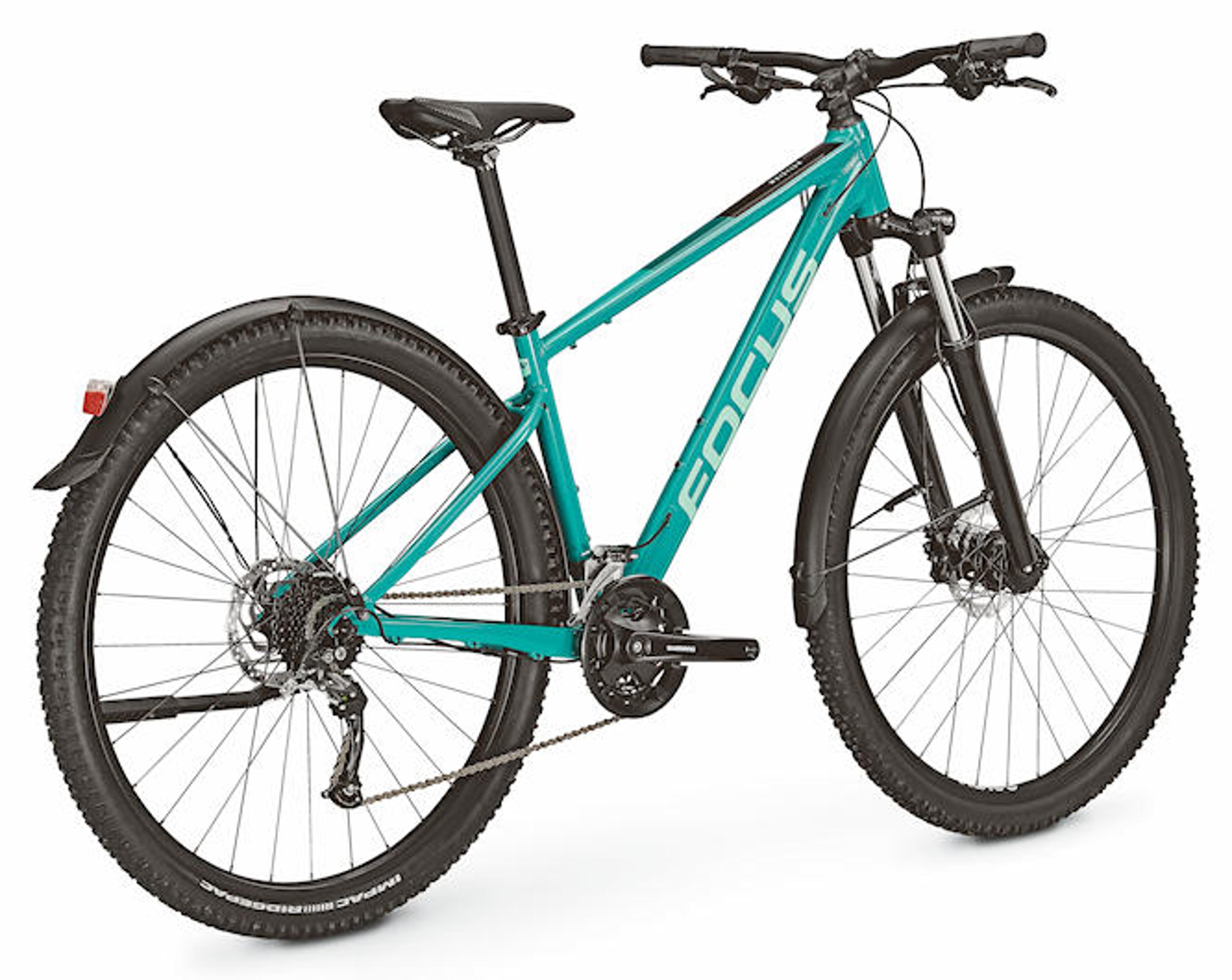 FOCUS Whistler 3.6 EQP Hardtail MTB (grün) 2