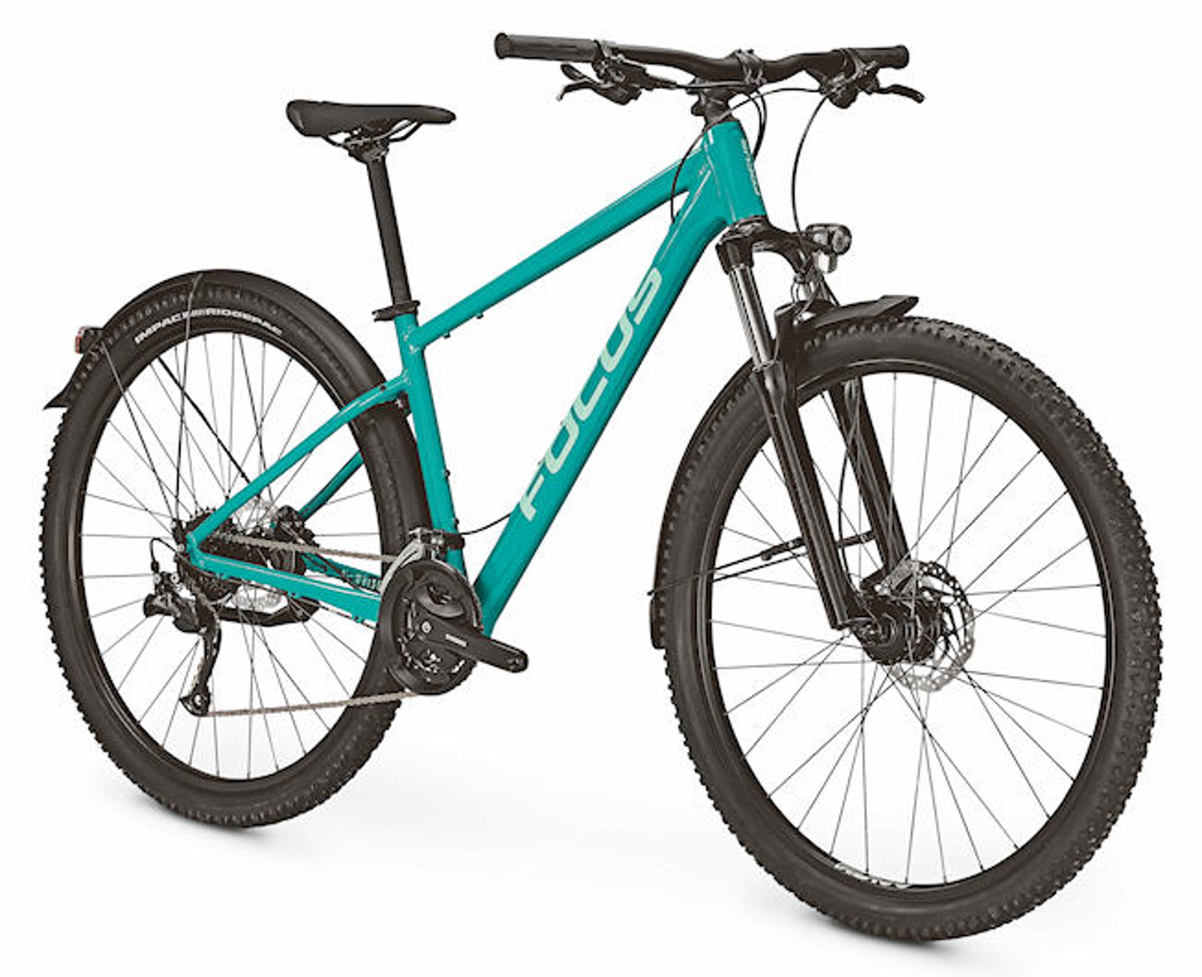 FOCUS Whistler 3.6 EQP Hardtail MTB (grün) 3
