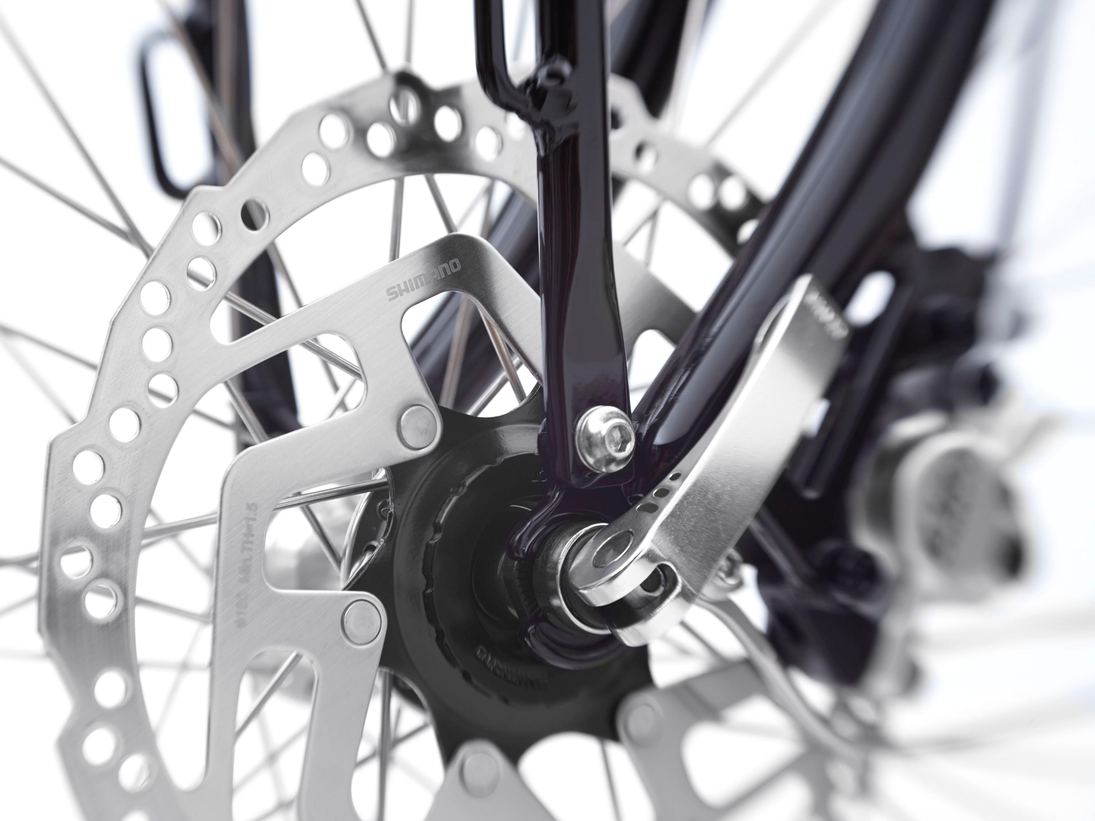 Electra Loft Go! 5i EQ E-Citybikes (schwarz) 6