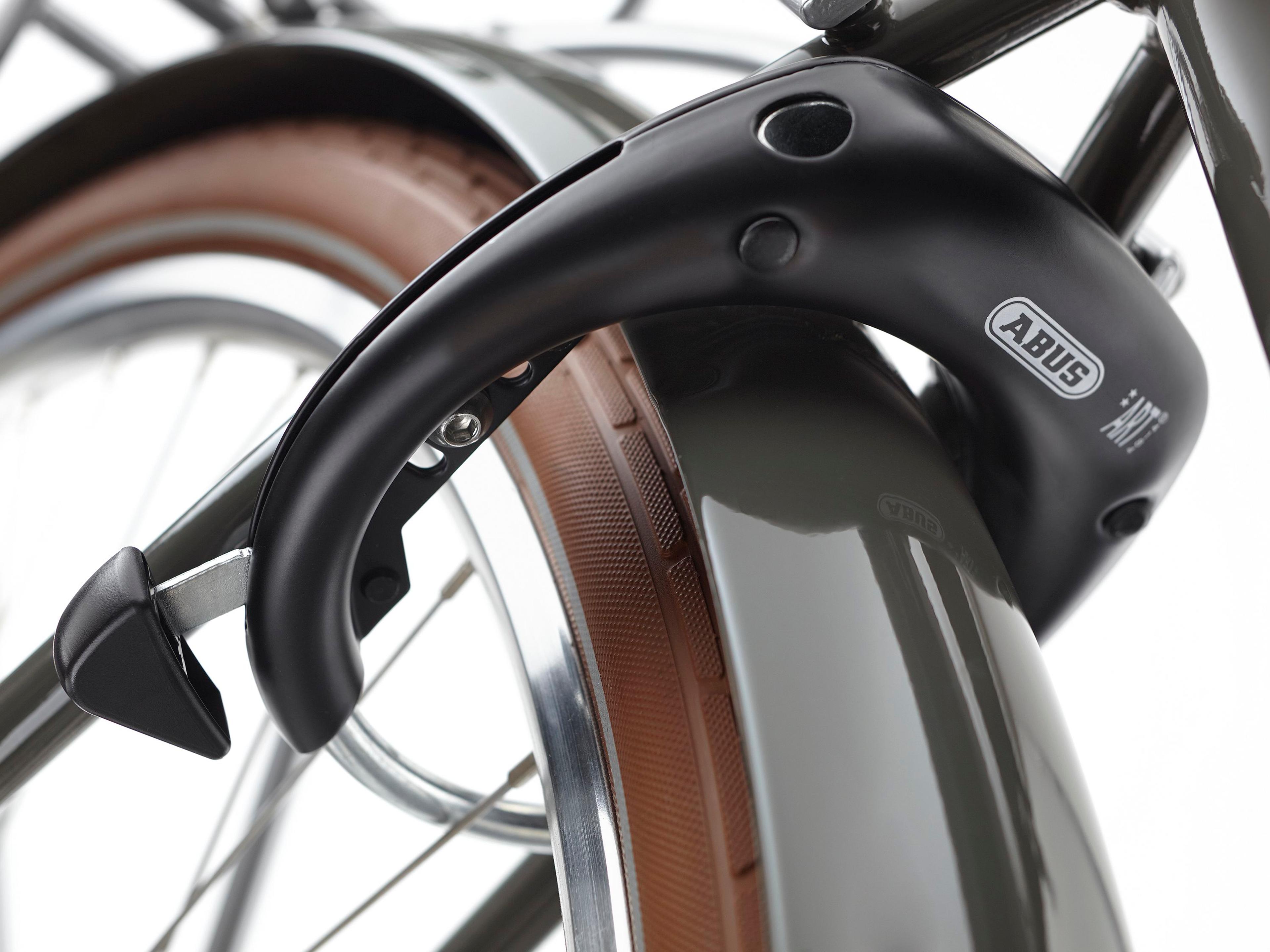 Electra Loft Go! 5i EQ E-Citybikes (grau) 10