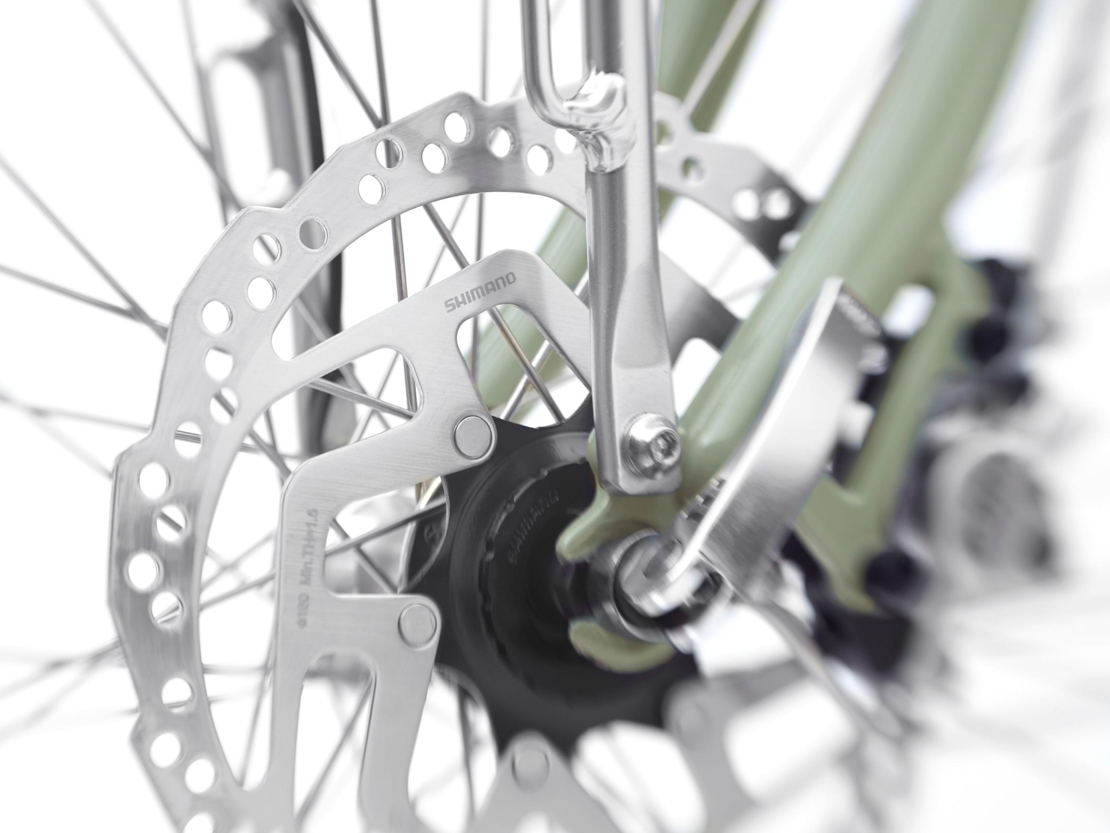 Electra Loft Go! 5i EQ E-Citybikes (grün) 6