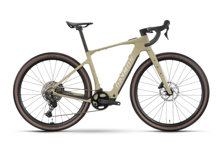 Raymon Norza Comp E-Gravelbikes