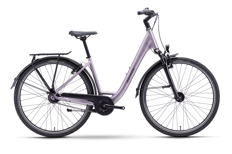 Raymon Zayn Ease Citybikes