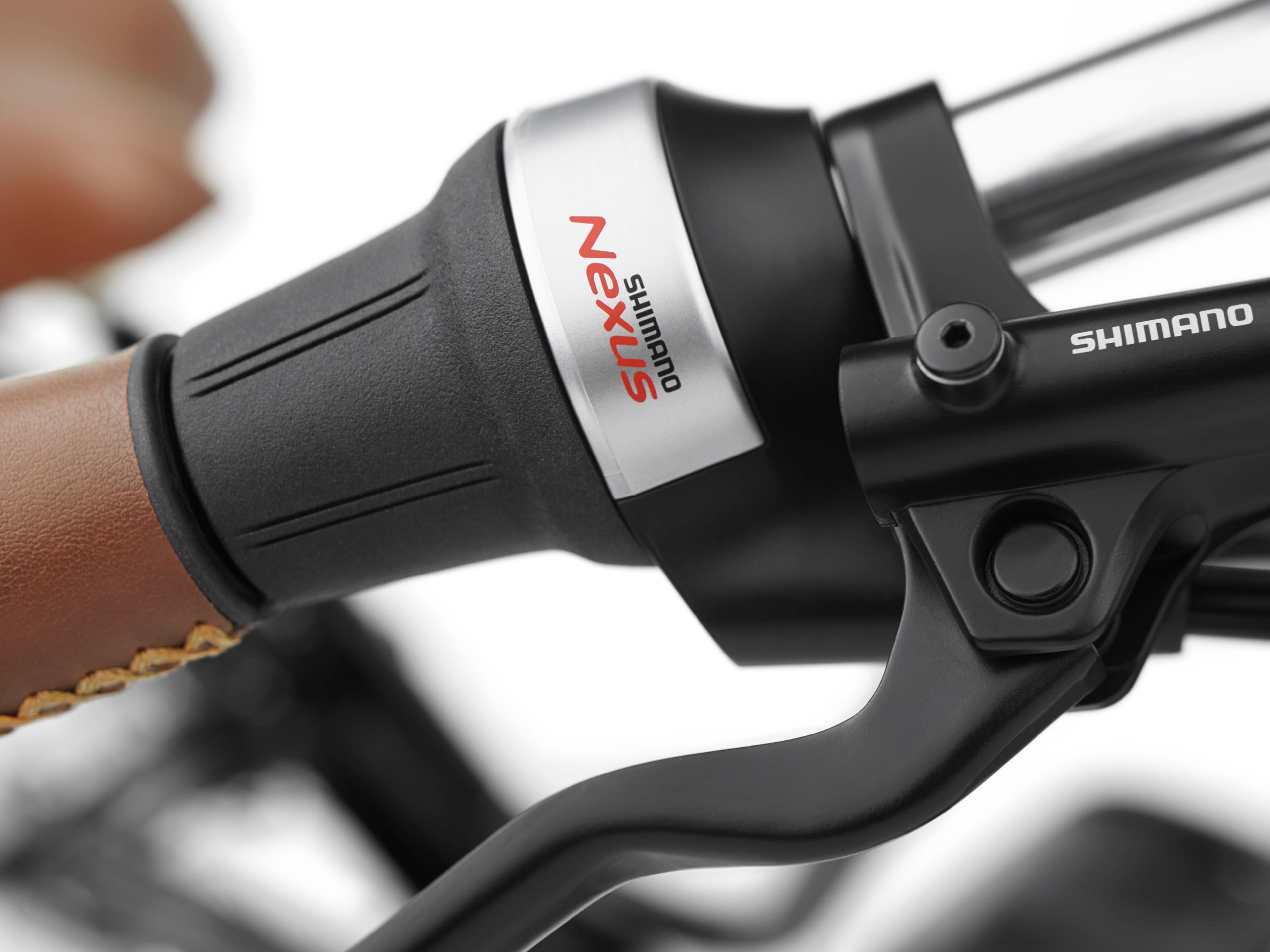 Electra Townie Commute Go! 5i E-Citybikes (schwarz) 8