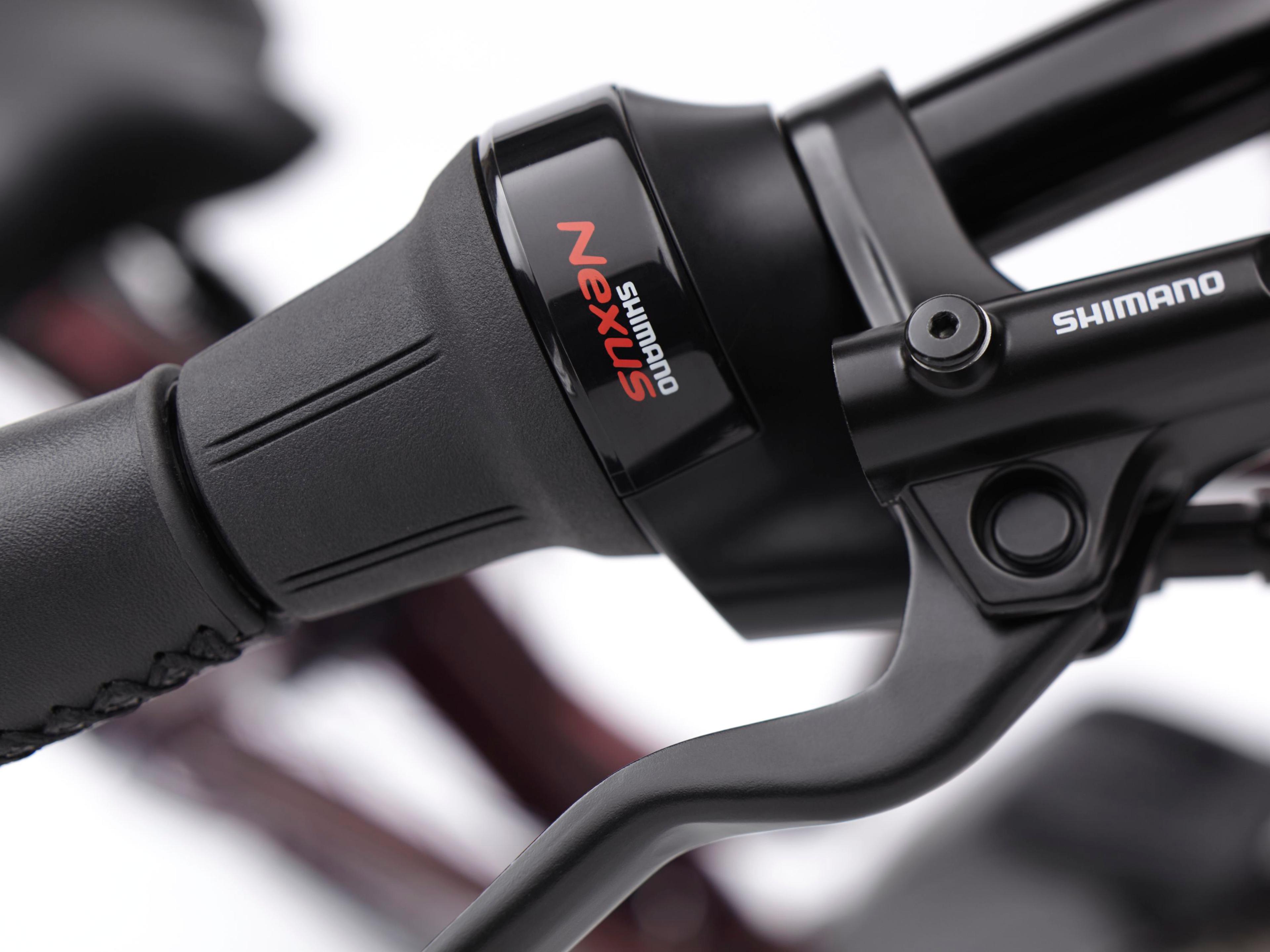 Electra Townie Commute Go! 5i E-Citybikes (rot) 8