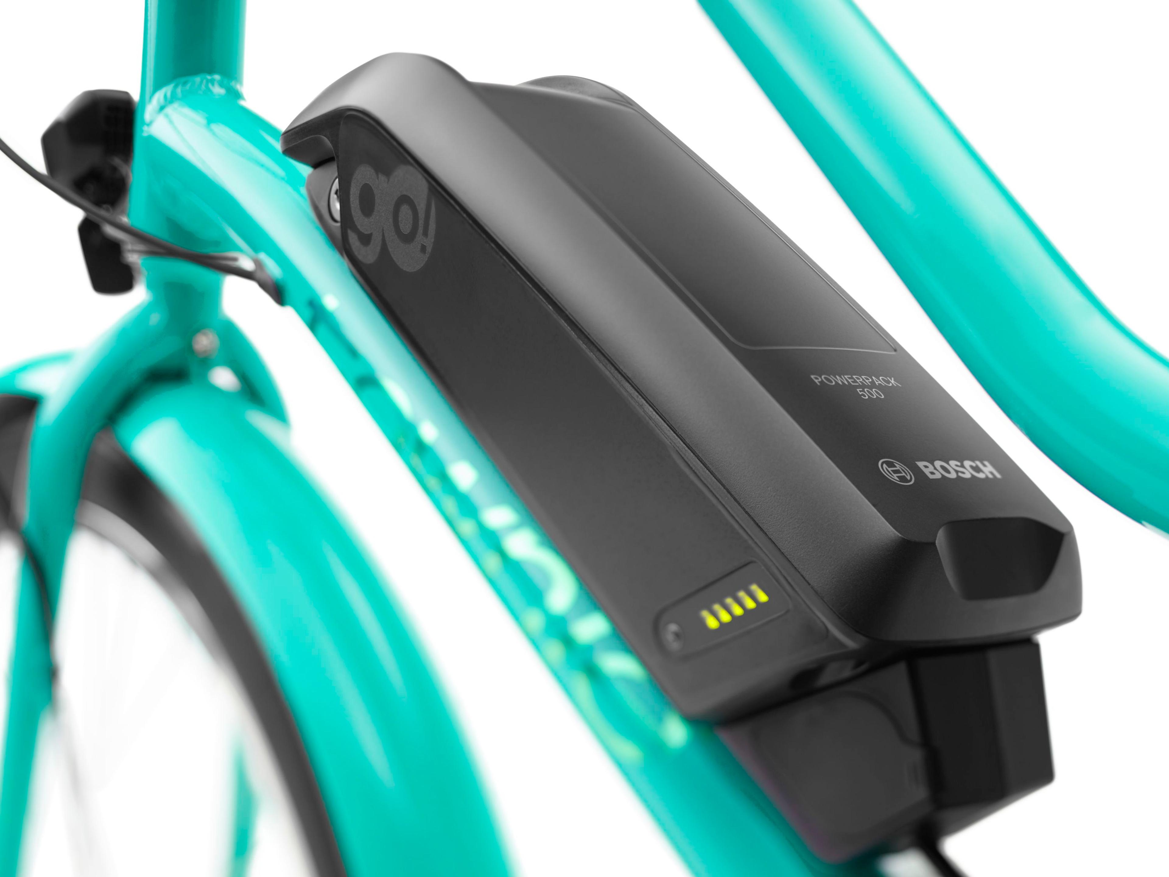 Electra Townie Go! 5i E-Citybikes (grün) 4