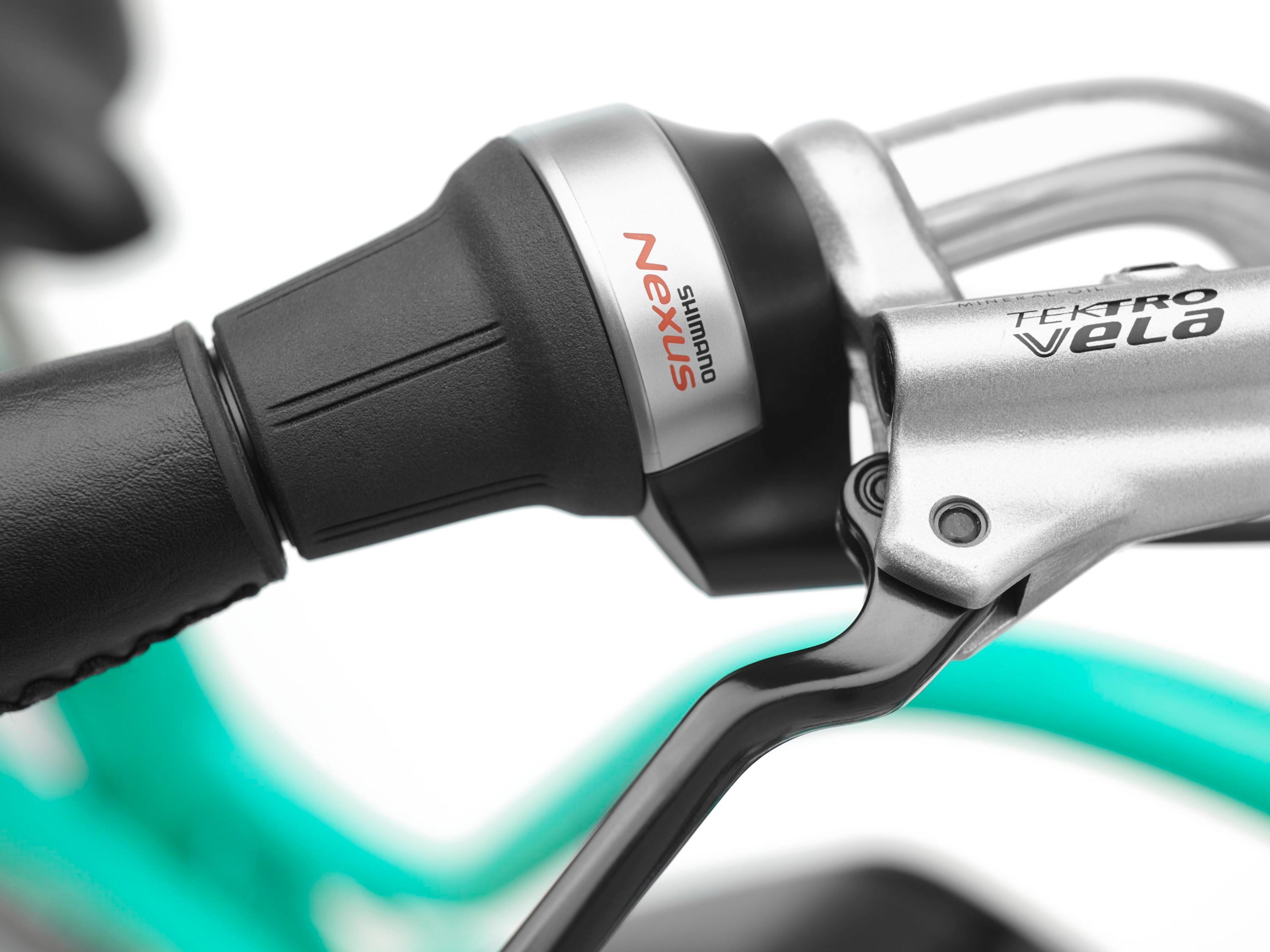 Electra Townie Go! 5i E-Citybikes (grün) 8