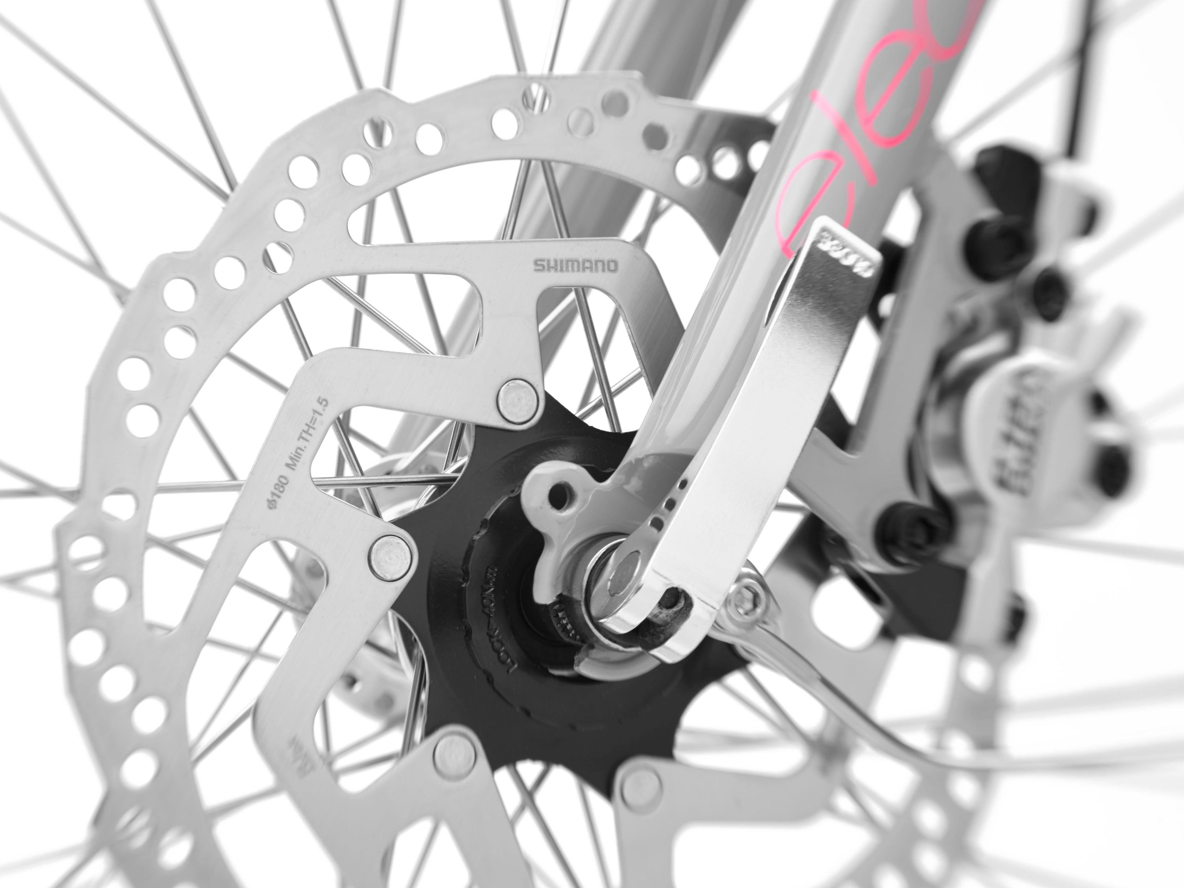 Electra Townie Go! 5i E-Citybikes (grau) 6