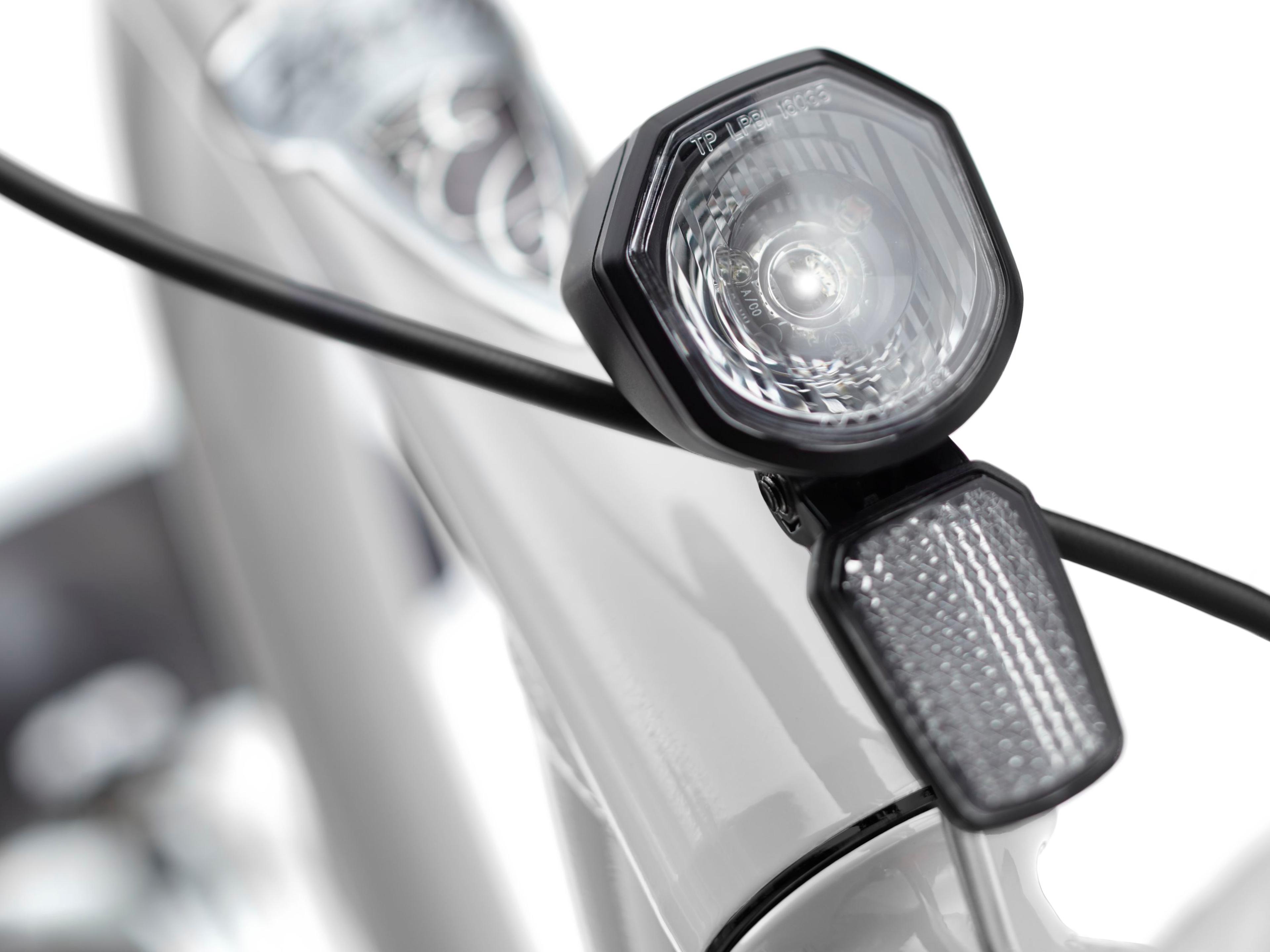 Electra Townie Go! 5i E-Citybikes (grau) 7