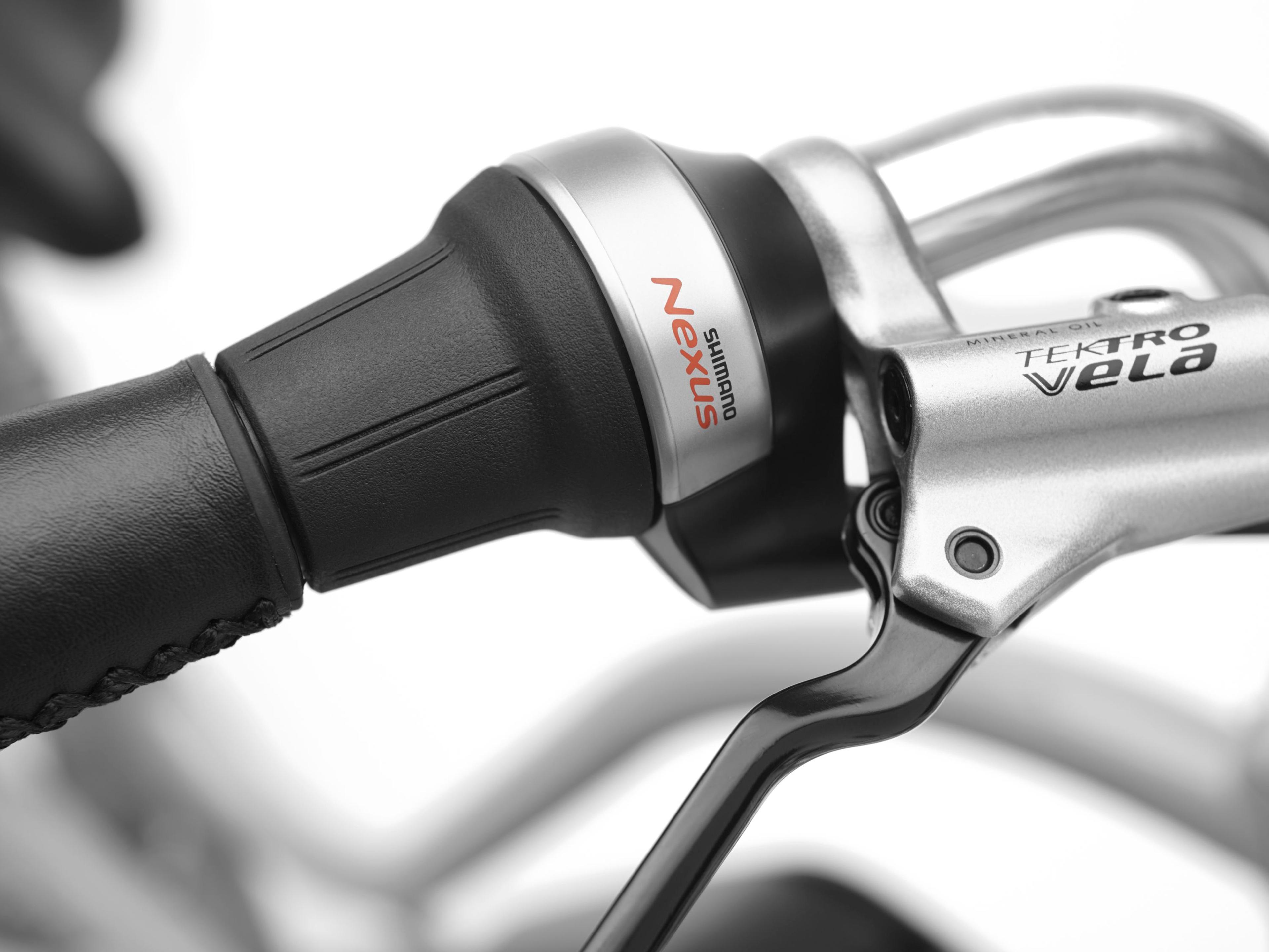 Electra Townie Go! 5i E-Citybikes (grau) 8