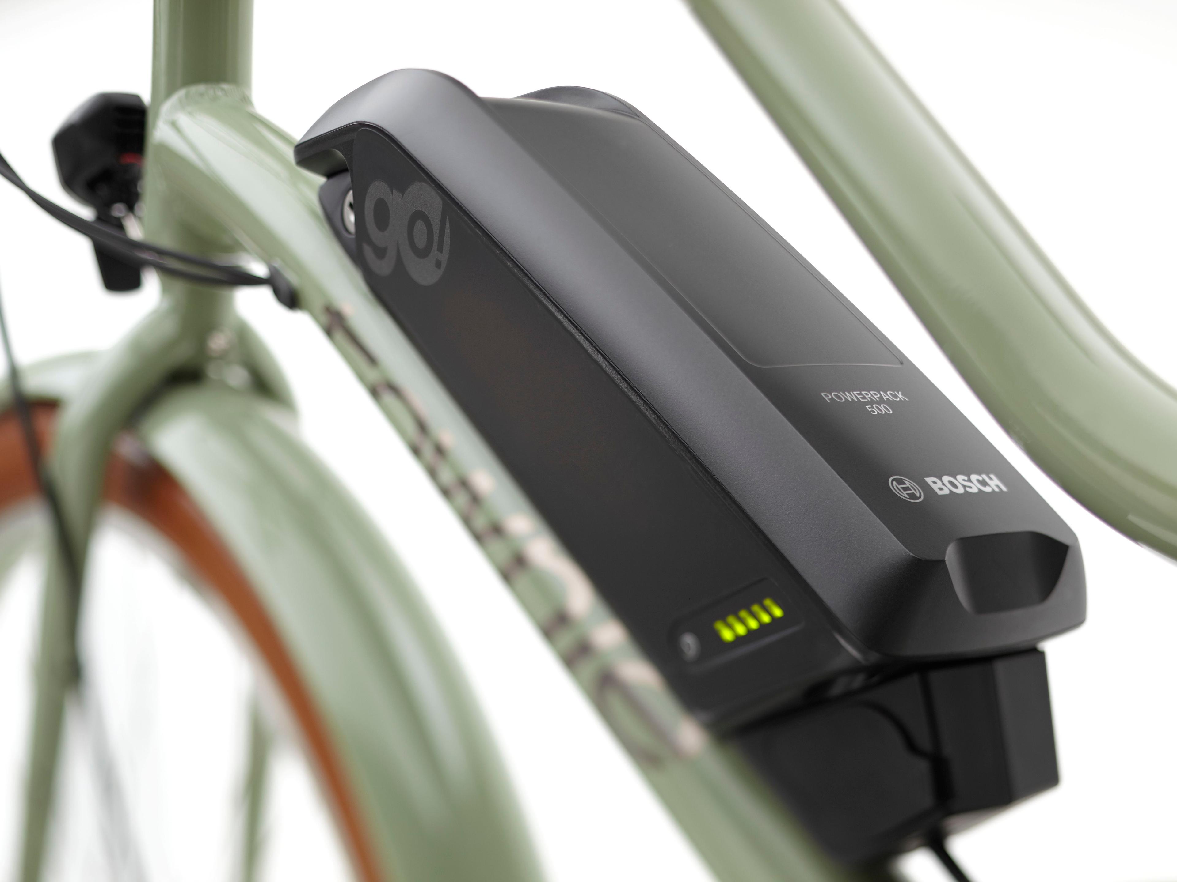 Electra Townie Go! 5i E-Citybikes (grün) 4