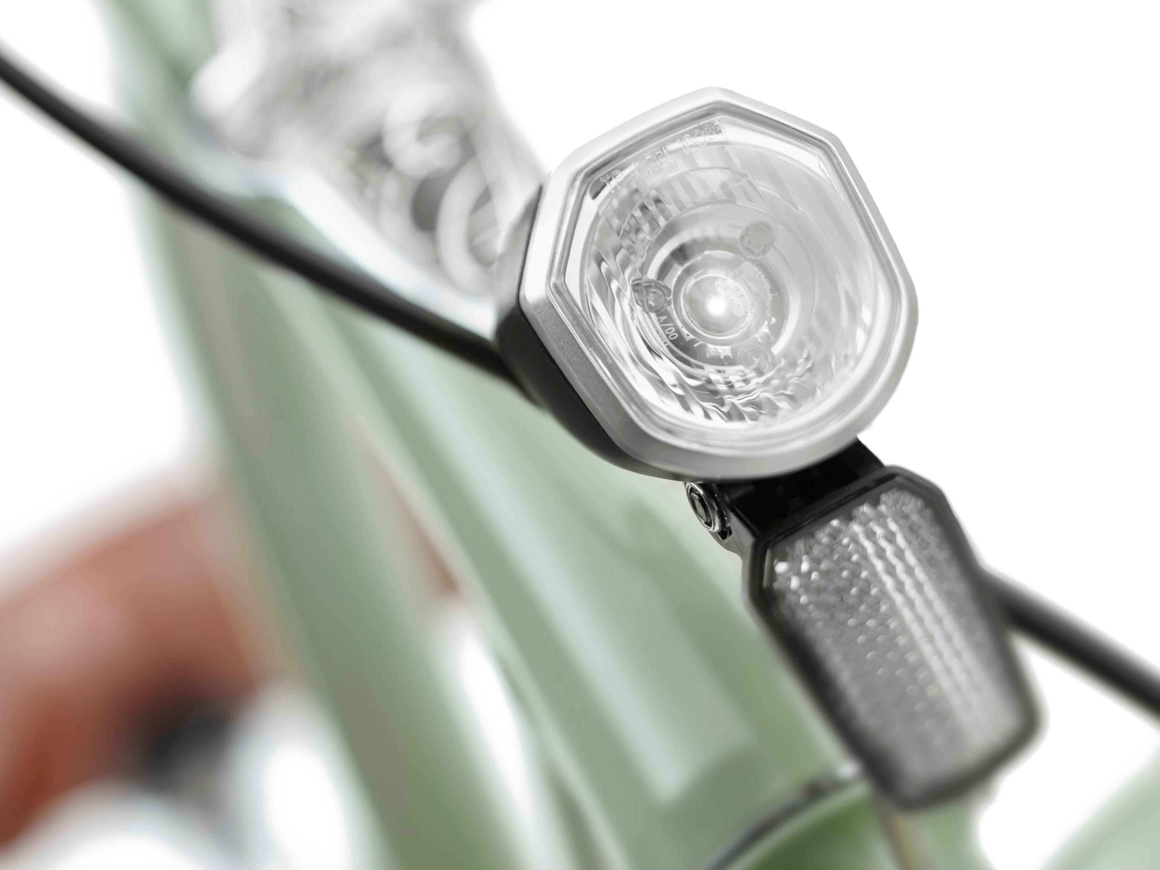 Electra Townie Go! 5i E-Citybikes (grün) 7