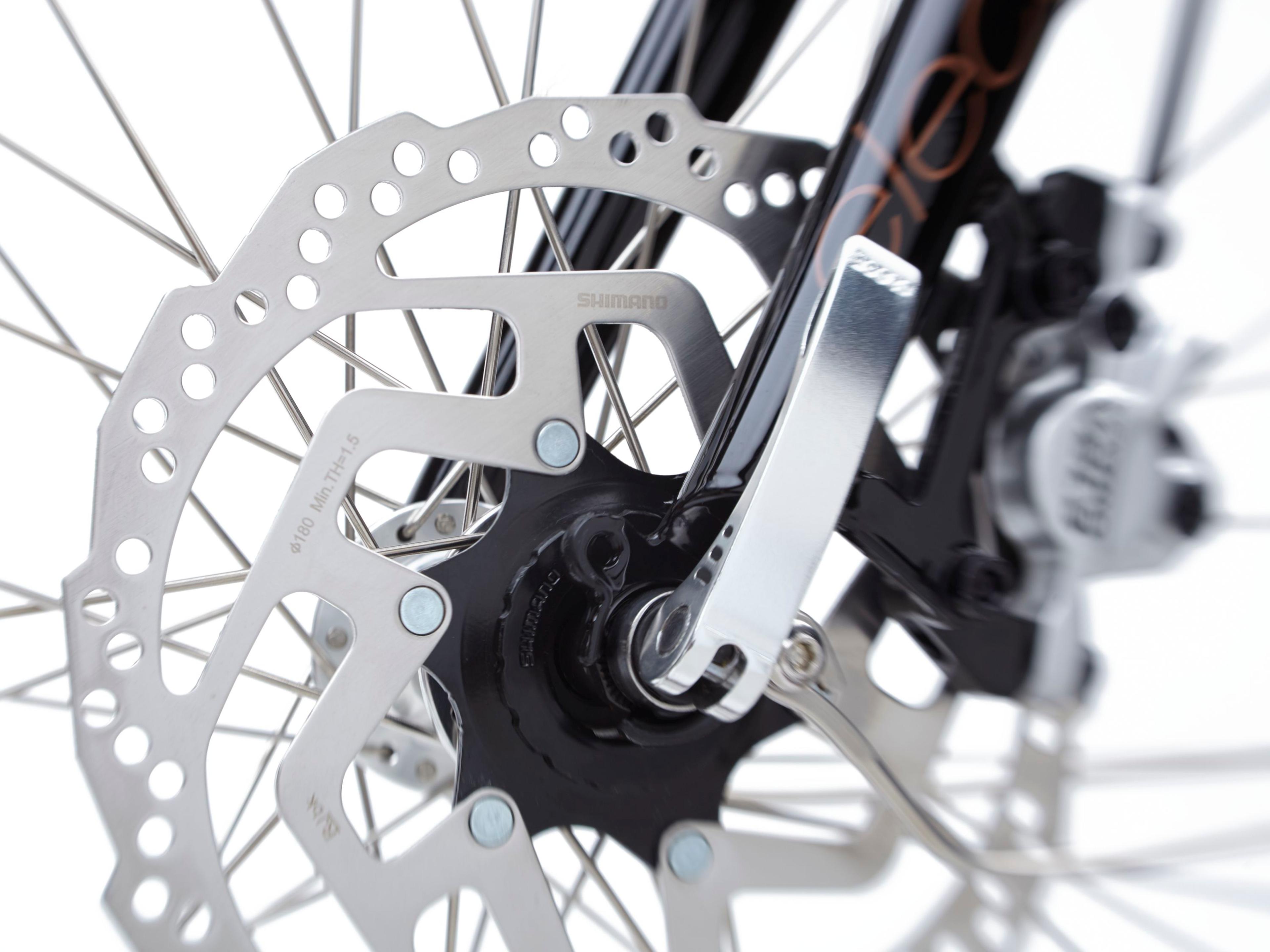 Electra Townie Go! 5i E-Citybikes (schwarz) 6