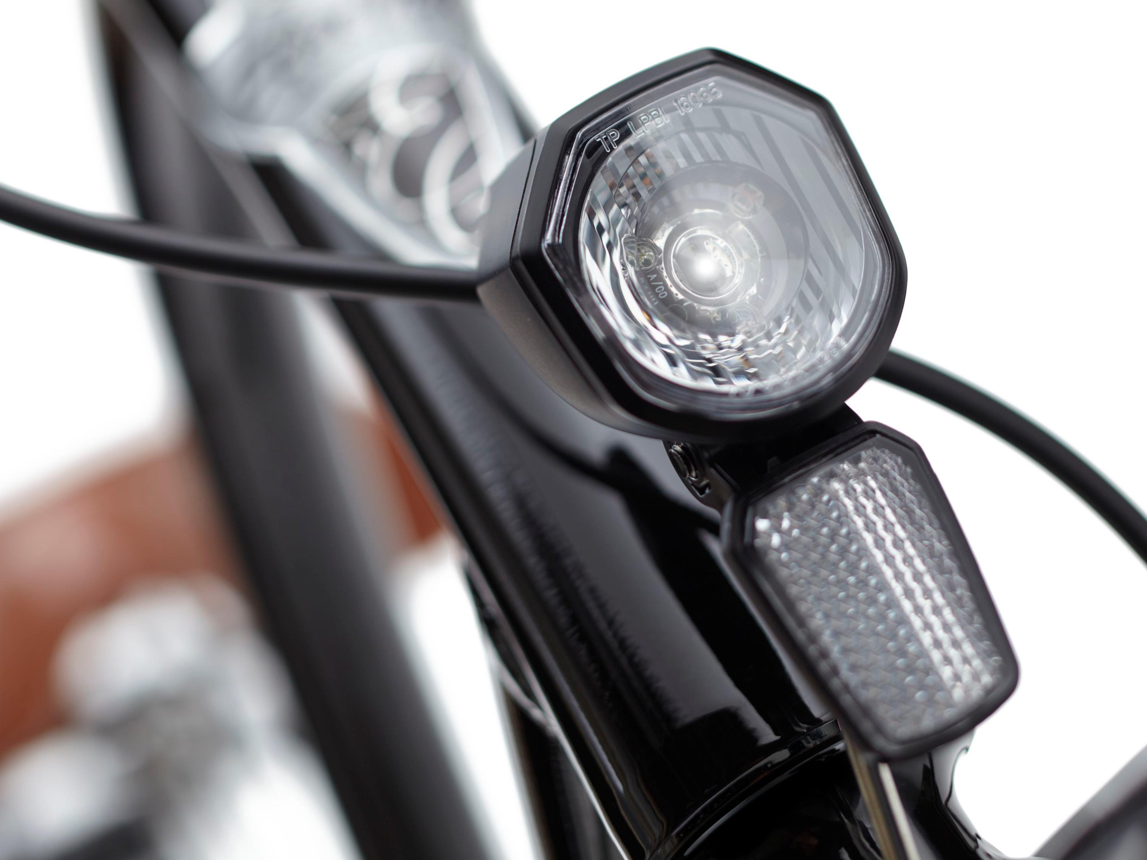 Electra Townie Go! 5i E-Citybikes (schwarz) 7