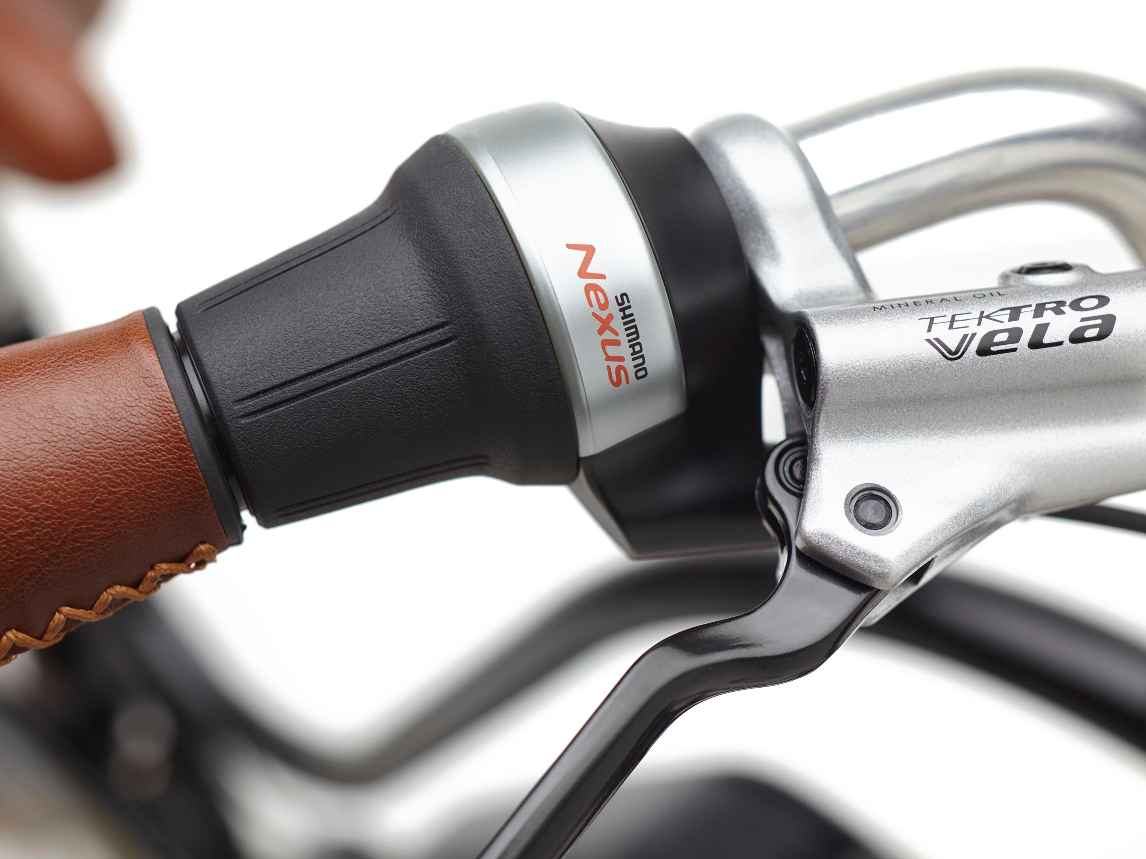 Electra Townie Go! 5i E-Citybikes (schwarz) 8