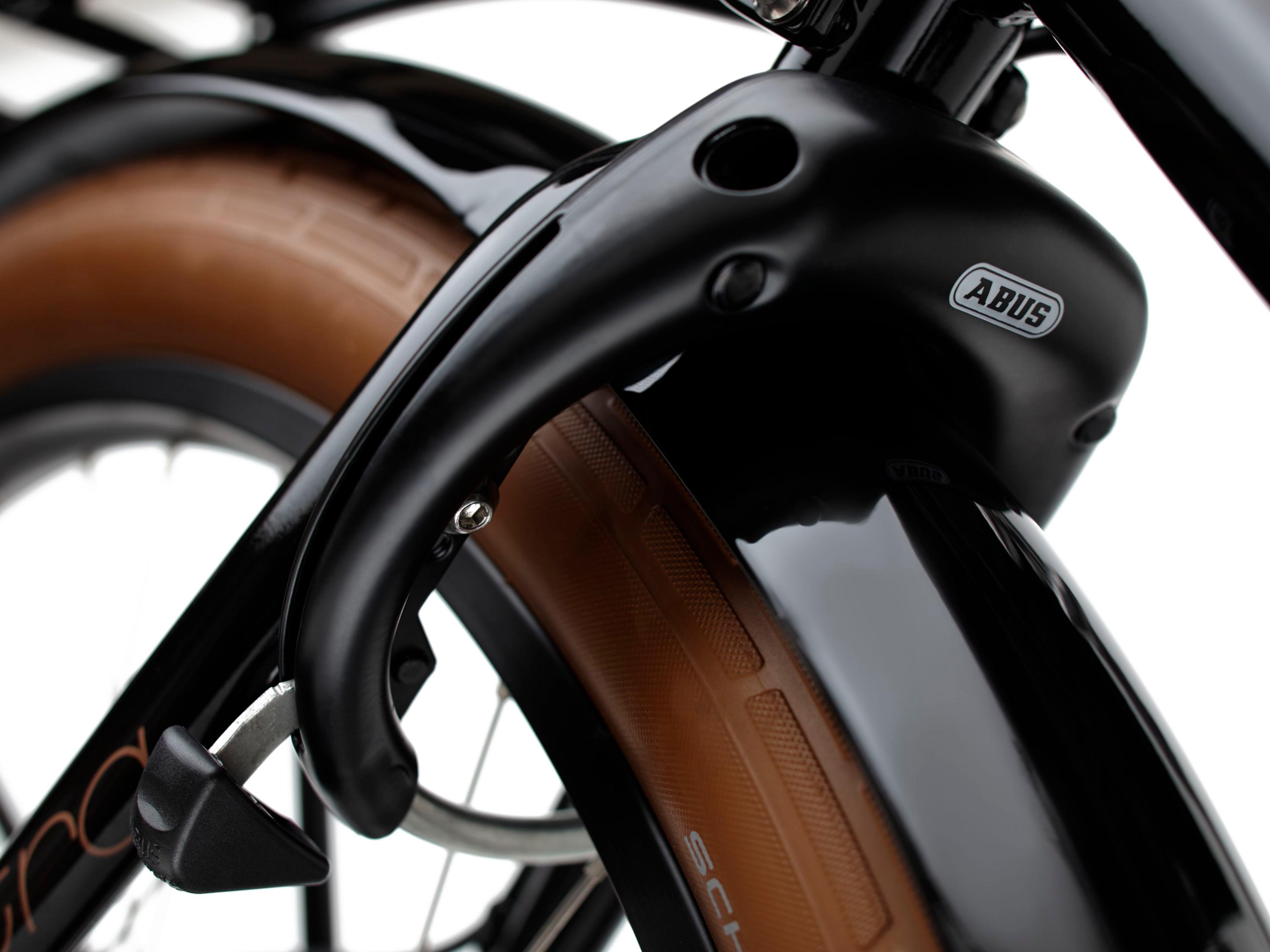 Electra Townie Go! 5i E-Citybikes (schwarz) 11