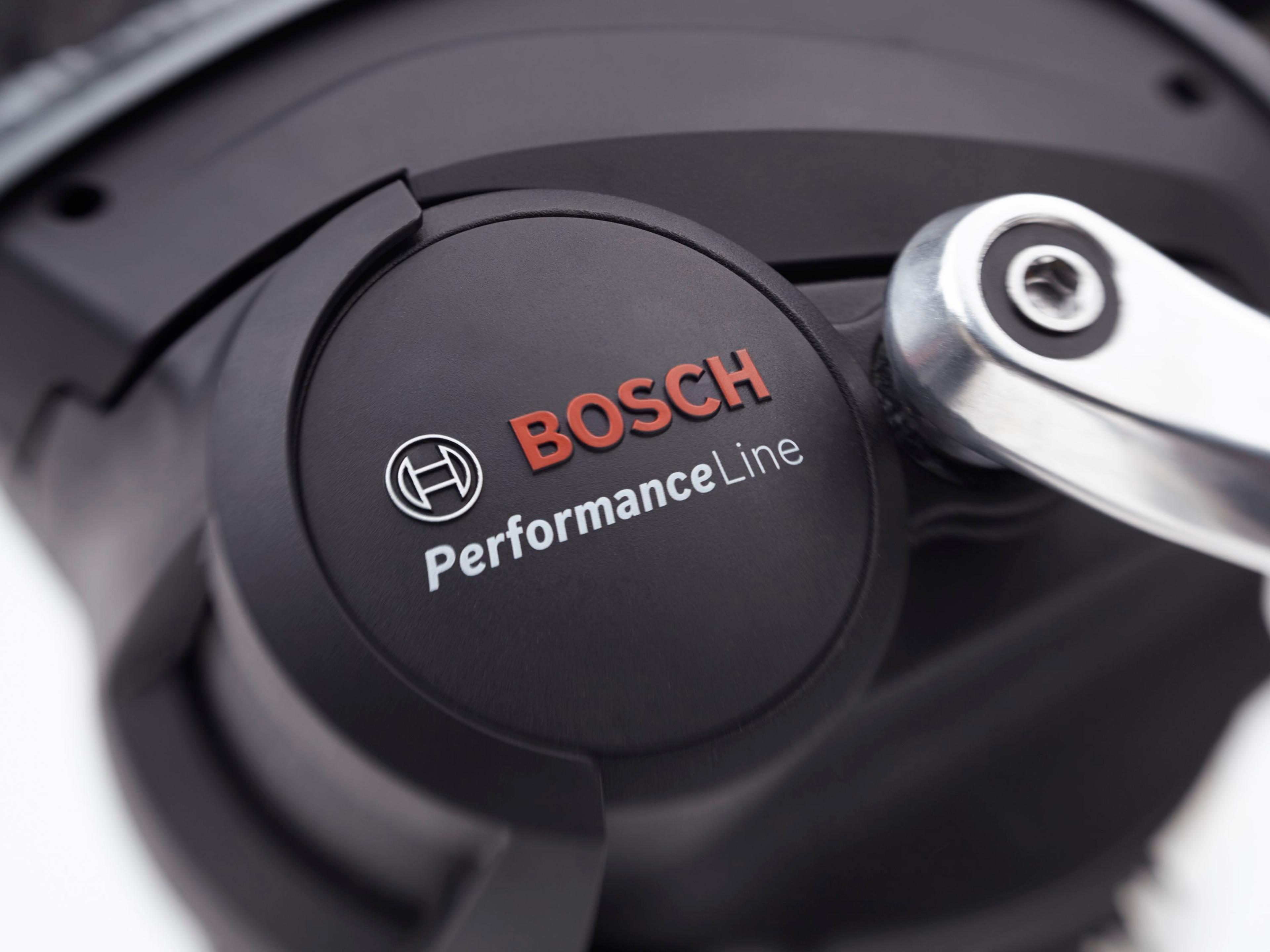 Electra Townie Path Go! 5i E-Citybikes (silber) 2