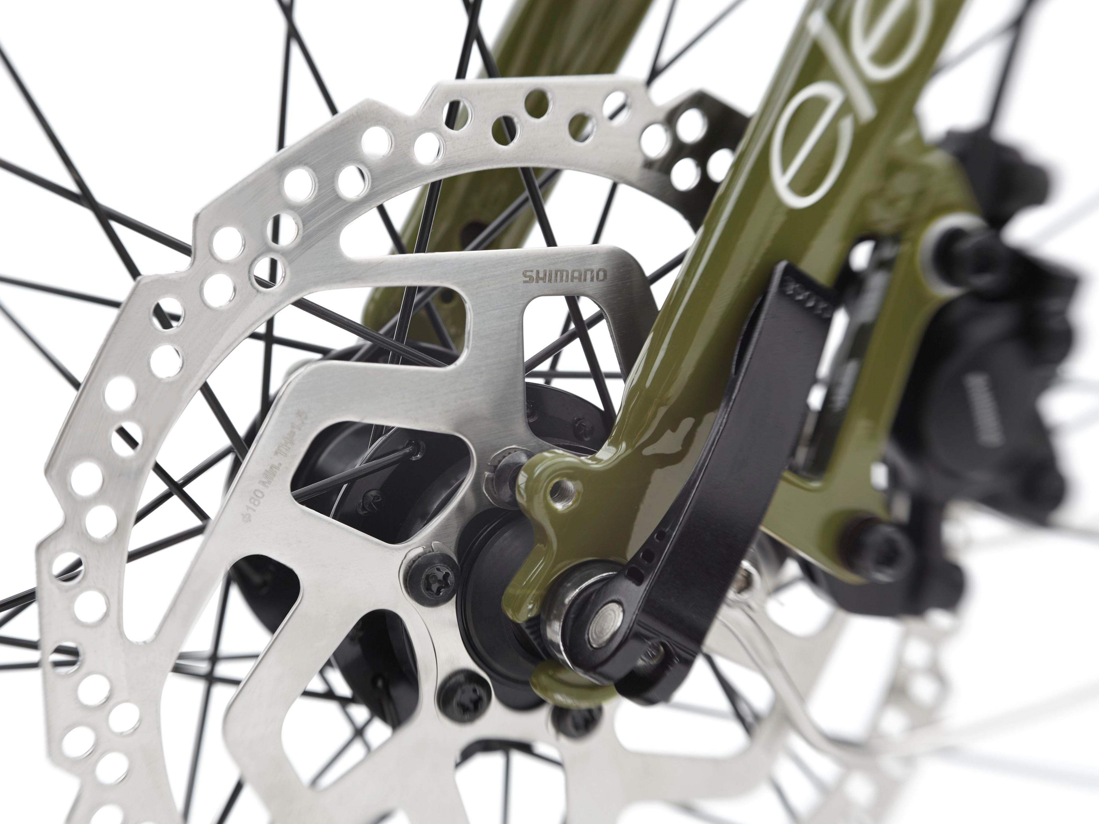 Electra Townie Path Go! 5i E-Citybikes (grün) 8