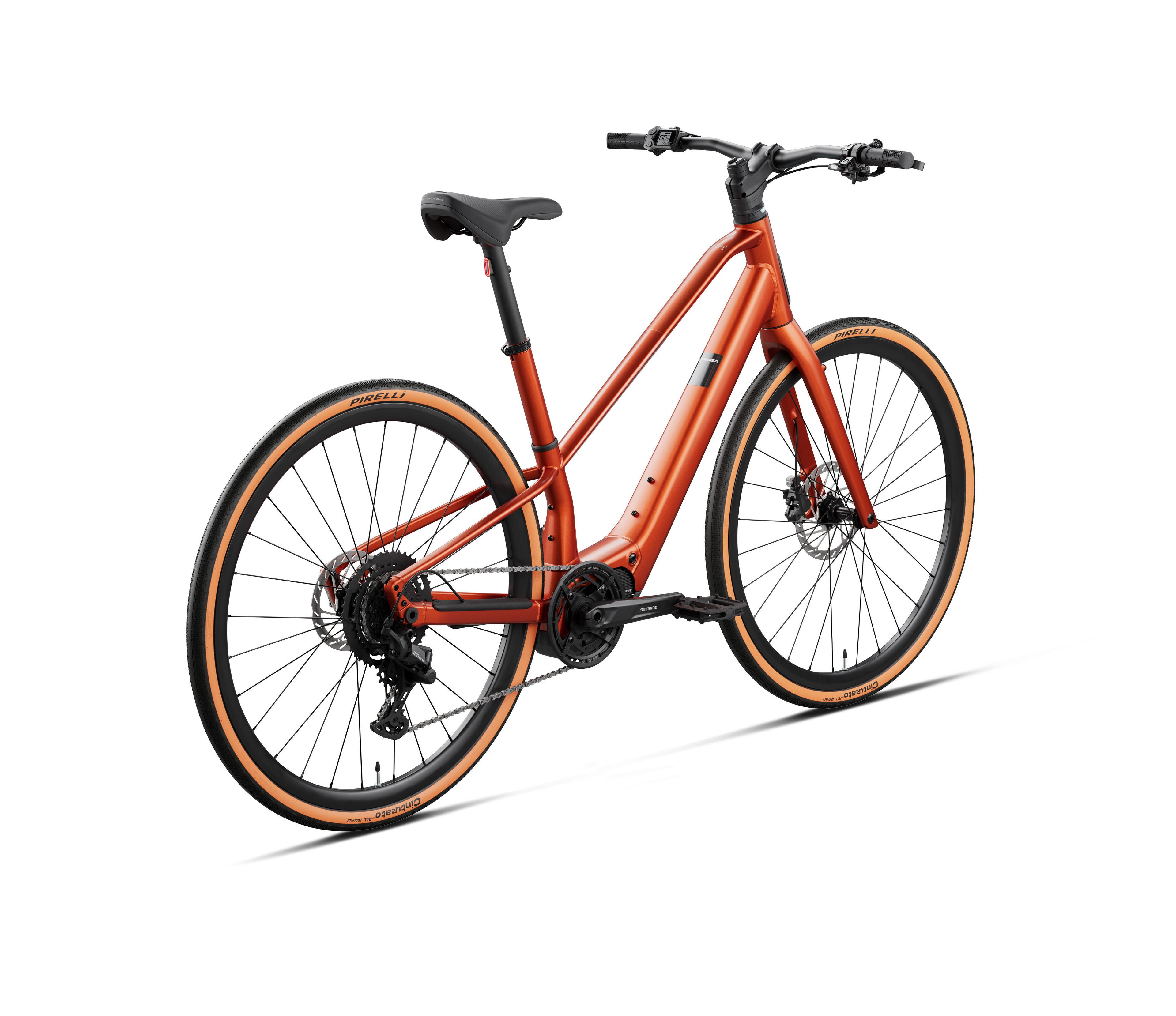 Orbea Carpe 25 E-Trekkingbikes (orange) 3