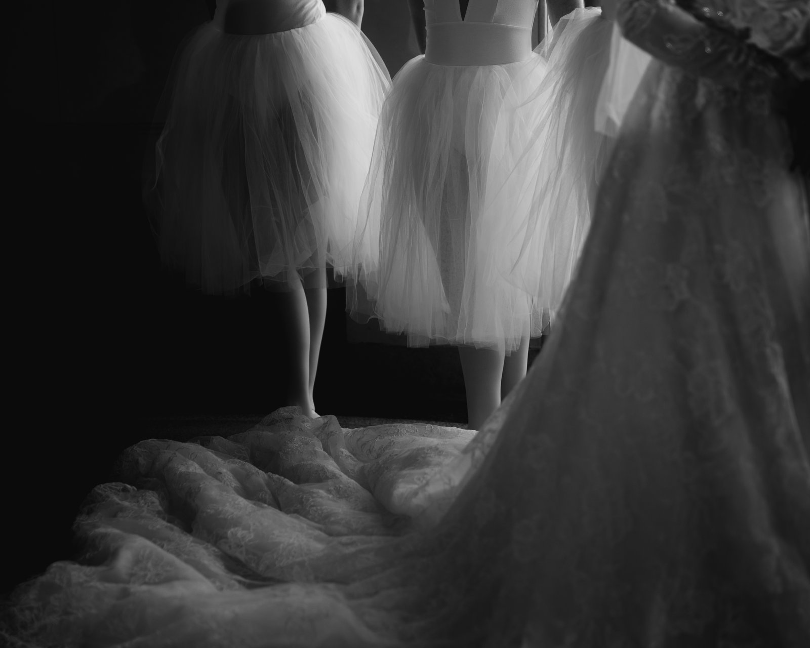 Black and white, close on layered tulle skirts and the bride's train