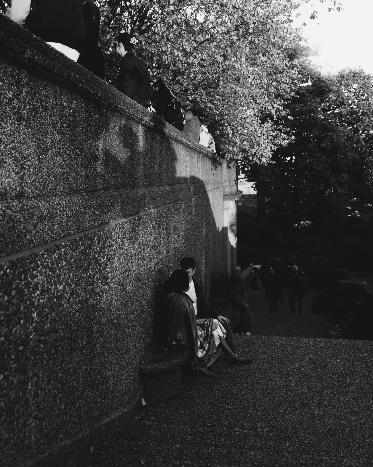 Black and white: a long ivy grown wall running away down a path, the couple small at the foot of it under the trees
