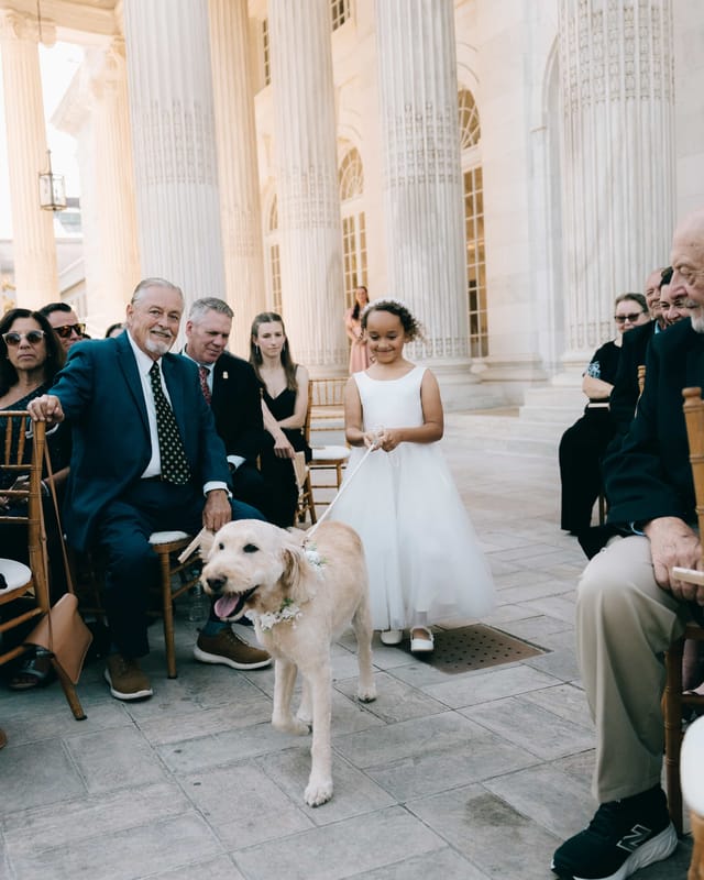 Shawni and Ben's wedding at the DAR, Washington DC, highlight 53 of 97 by Ethan W Photography