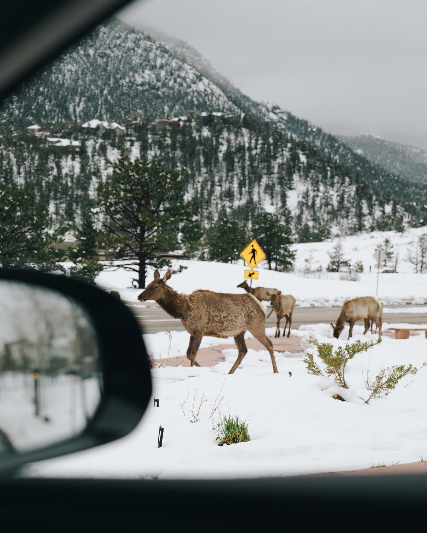 Colorado, frame 3