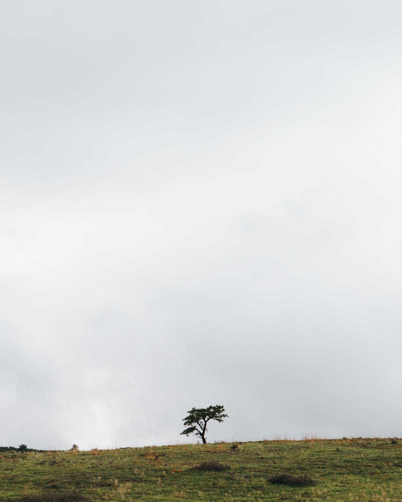 Colorado, frame 4