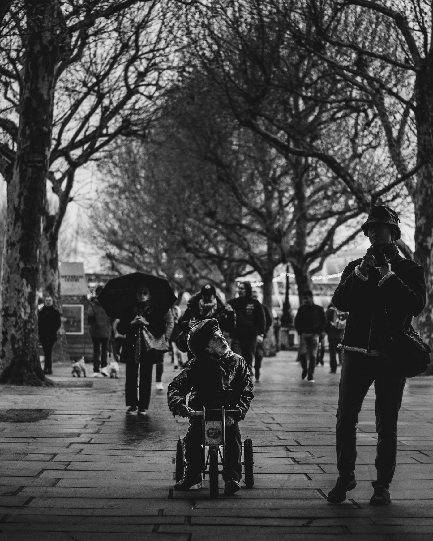 UK · Vienna · Budapest, frame 4
