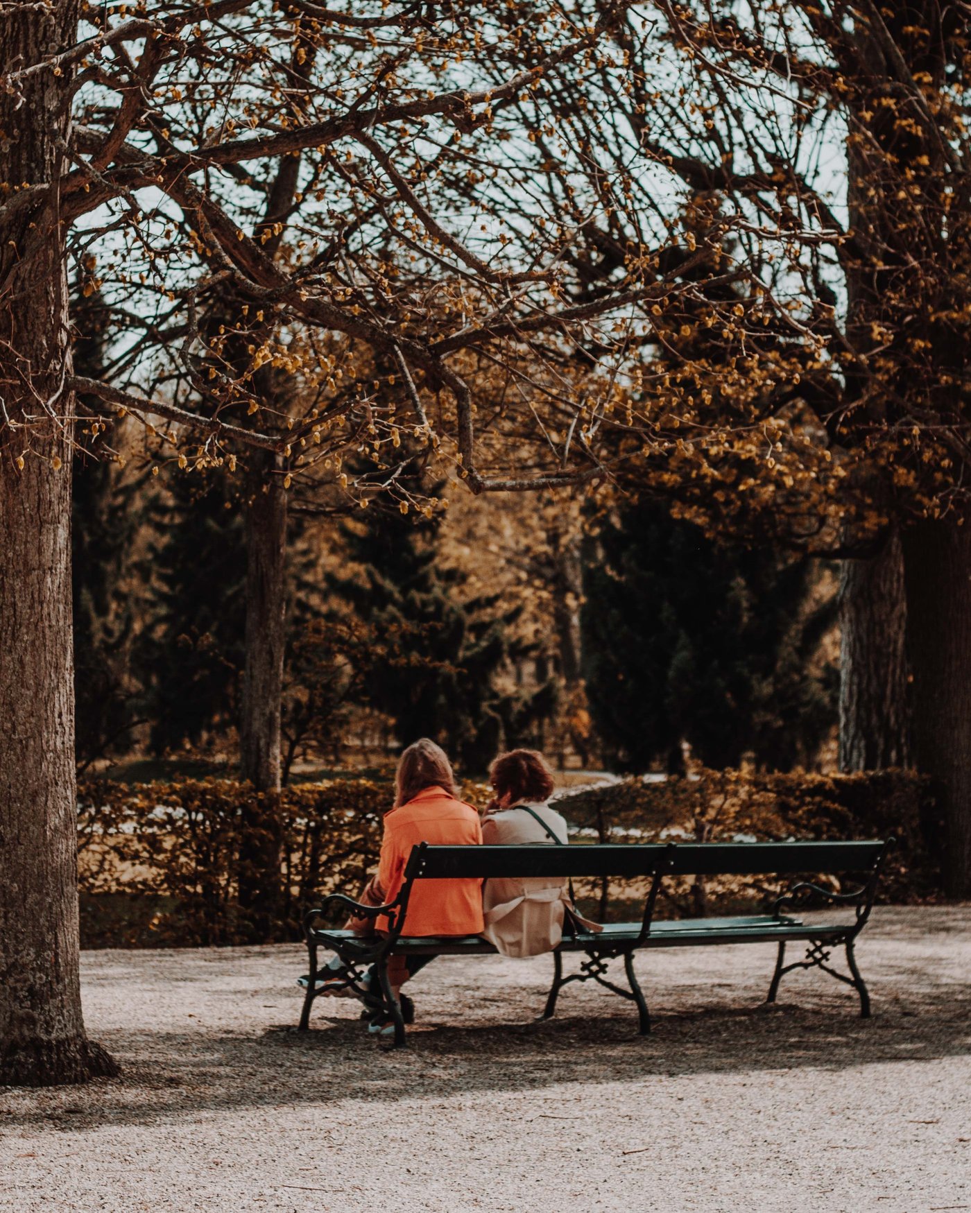 UK · Vienna · Budapest, frame 6