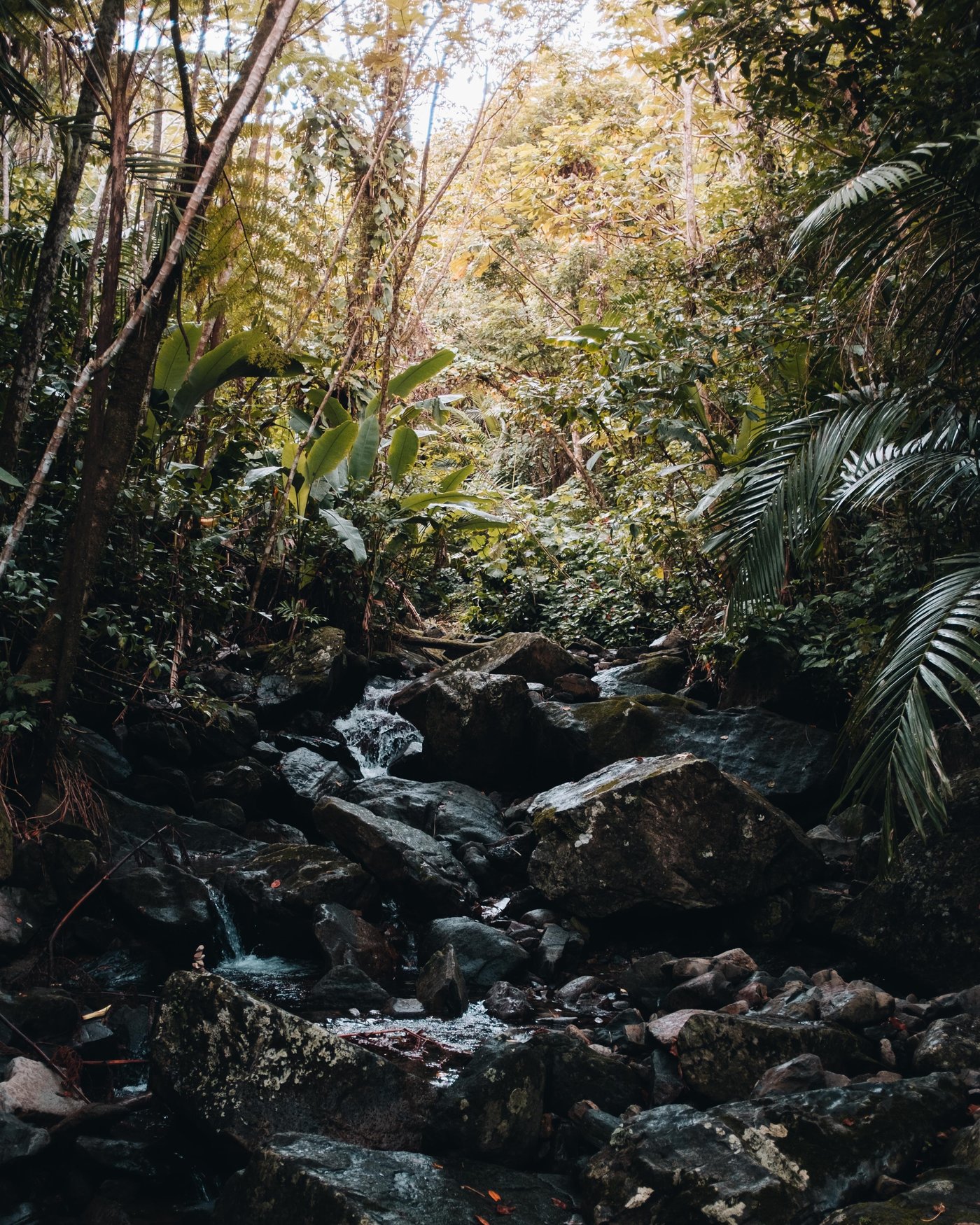 Puerto Rico, frame 9