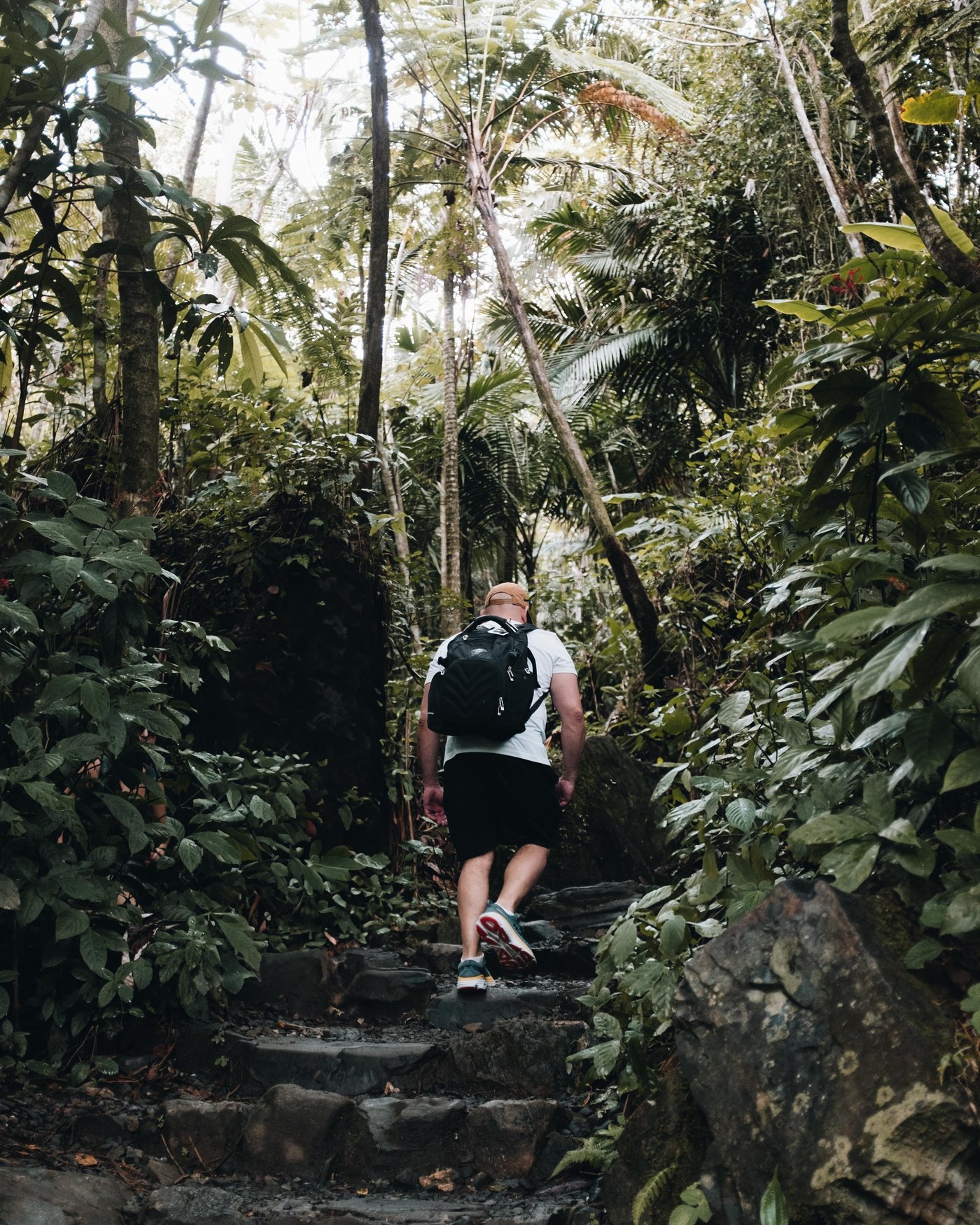 Puerto Rico, frame 10