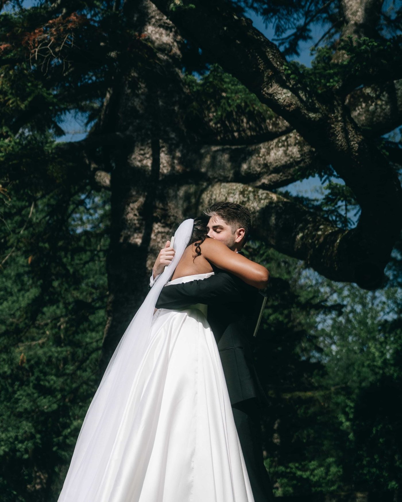 A couple pressed together under the low branches of an enormous old tree