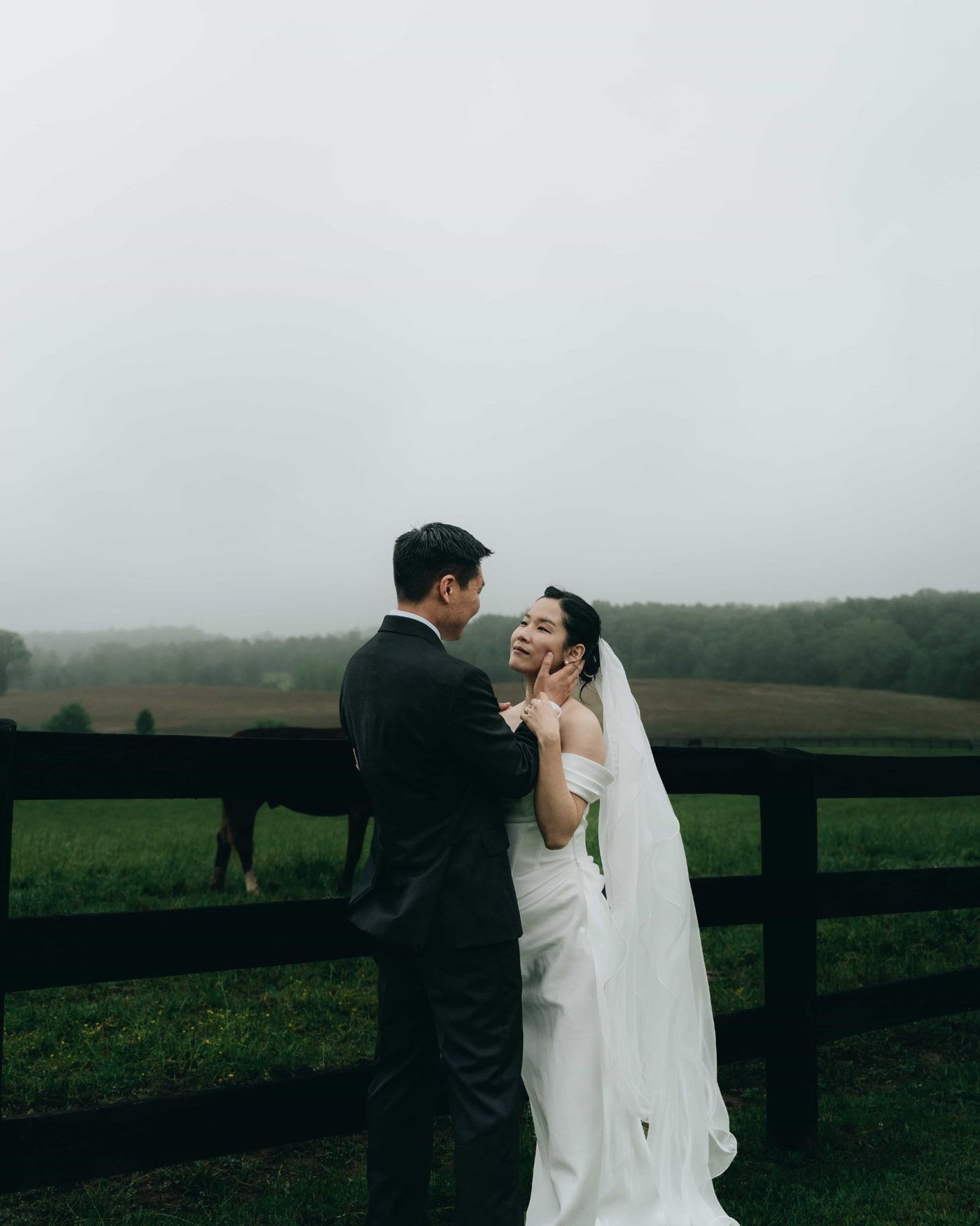 A groom holding the bride's face at a paddock fence in the fog, a horse grazing behind them