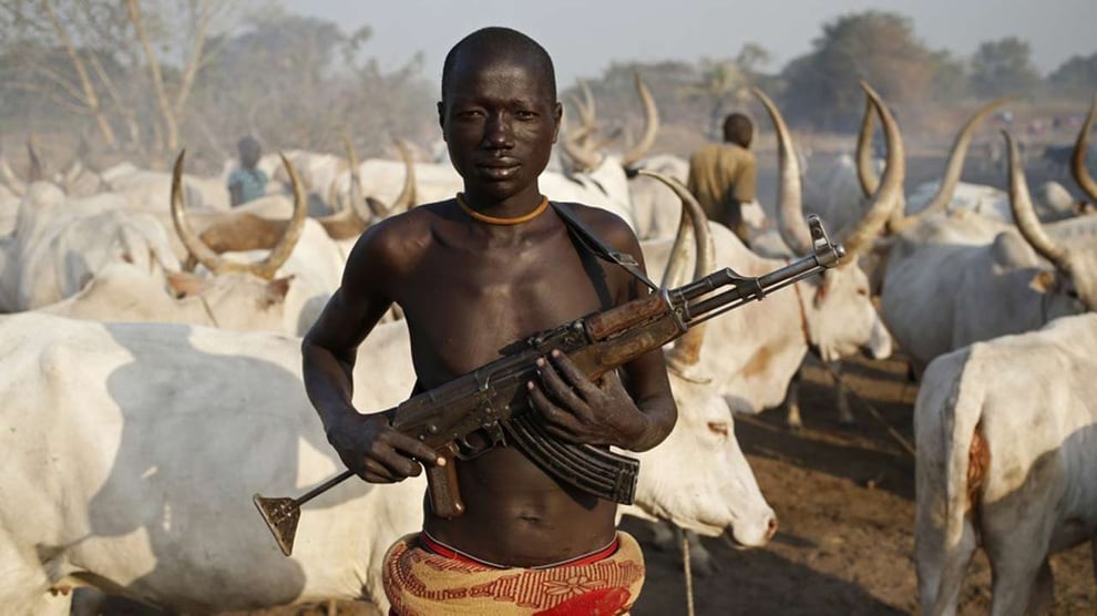 Herdsmen Invade School In Oyo, Injure Staff, Students