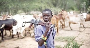 Cross River: Indigenes bemoan herders’ attacks, flee commu