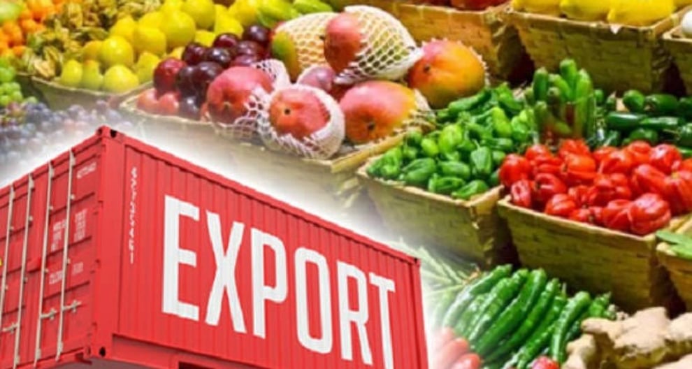 Tanzania Now One Of Africa's Top Food Exporters