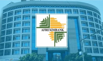 Afreximbank To Provide $200 Million For Sustainability Facil
