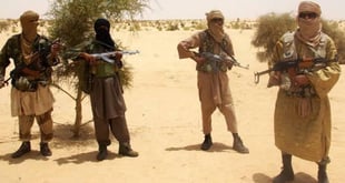 Borno: Six terrorists dead, four injured by explosive device
