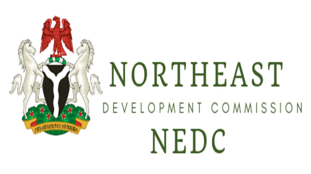 NEDC Trains Youths In Taraba 