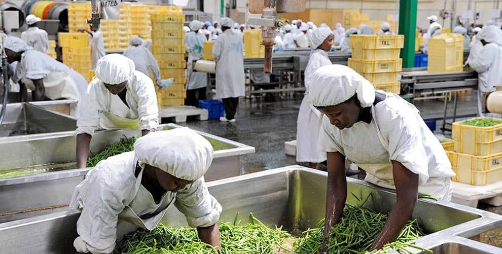 Food Processors Call For Government Support