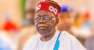 Tinubu advocates stronger investment ties with South Korea